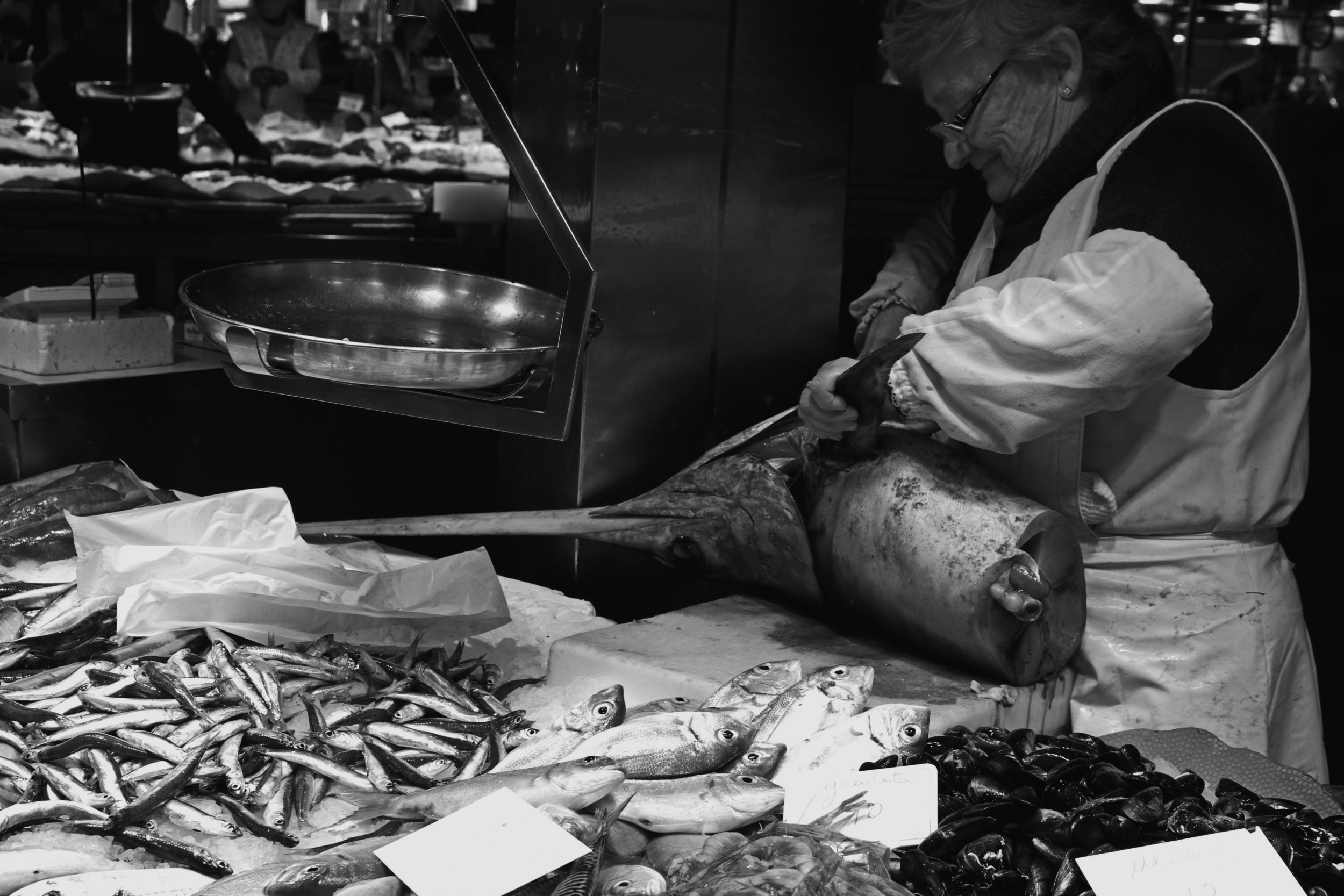 Barcelona, Spain. 2011