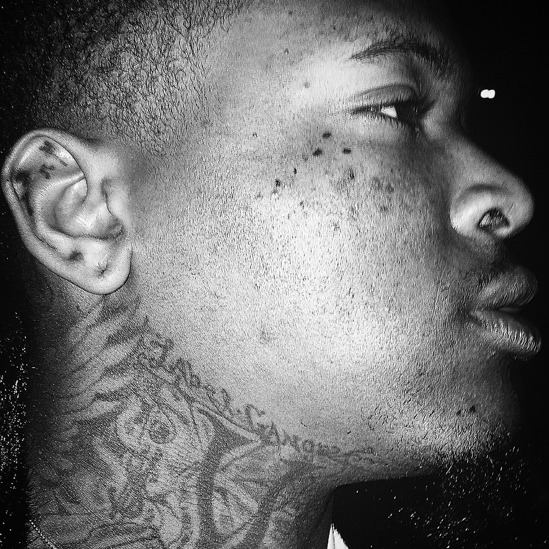 YG 2013