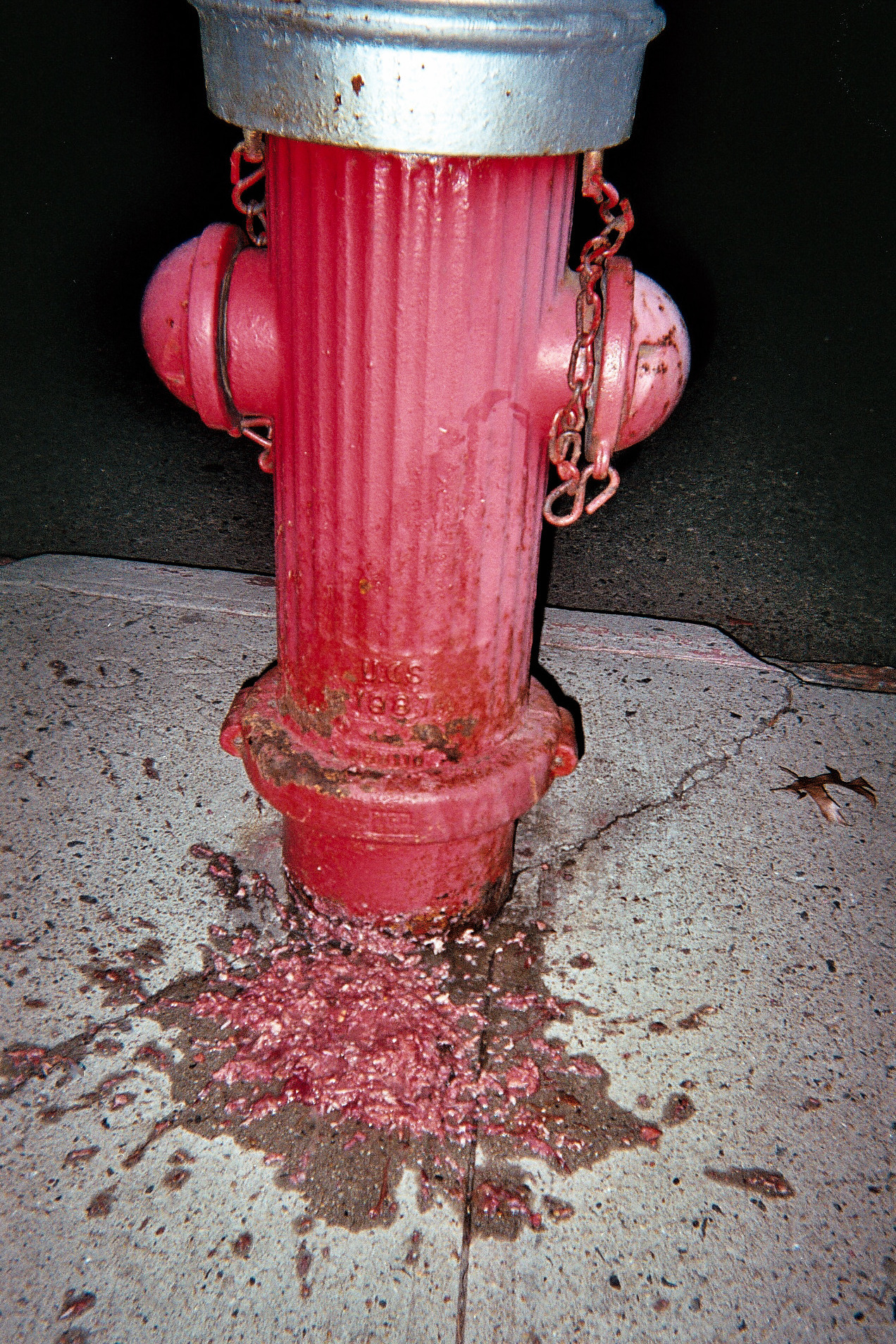 01_1a_5278658010_o.jpg