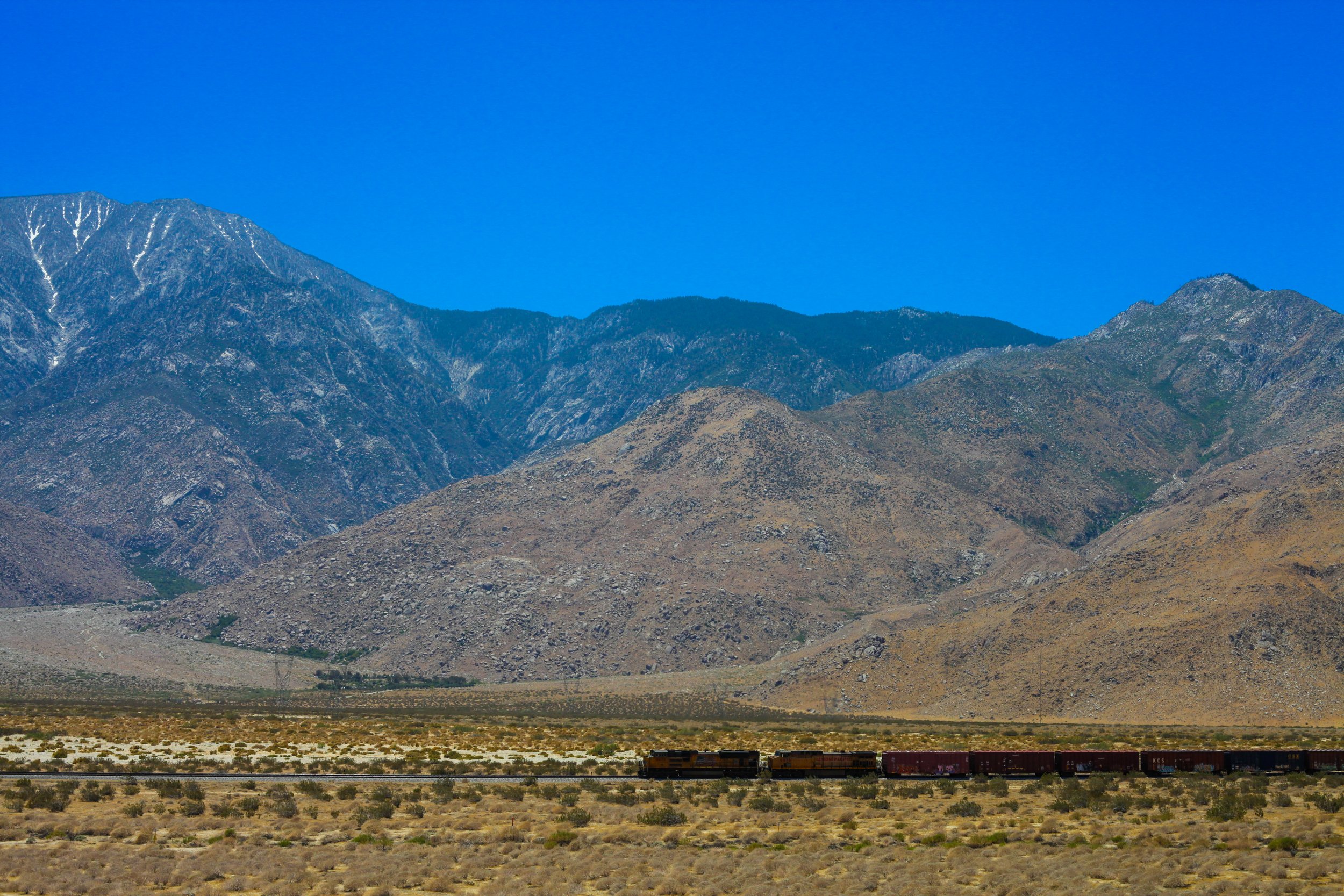 IMG_8193.jpg