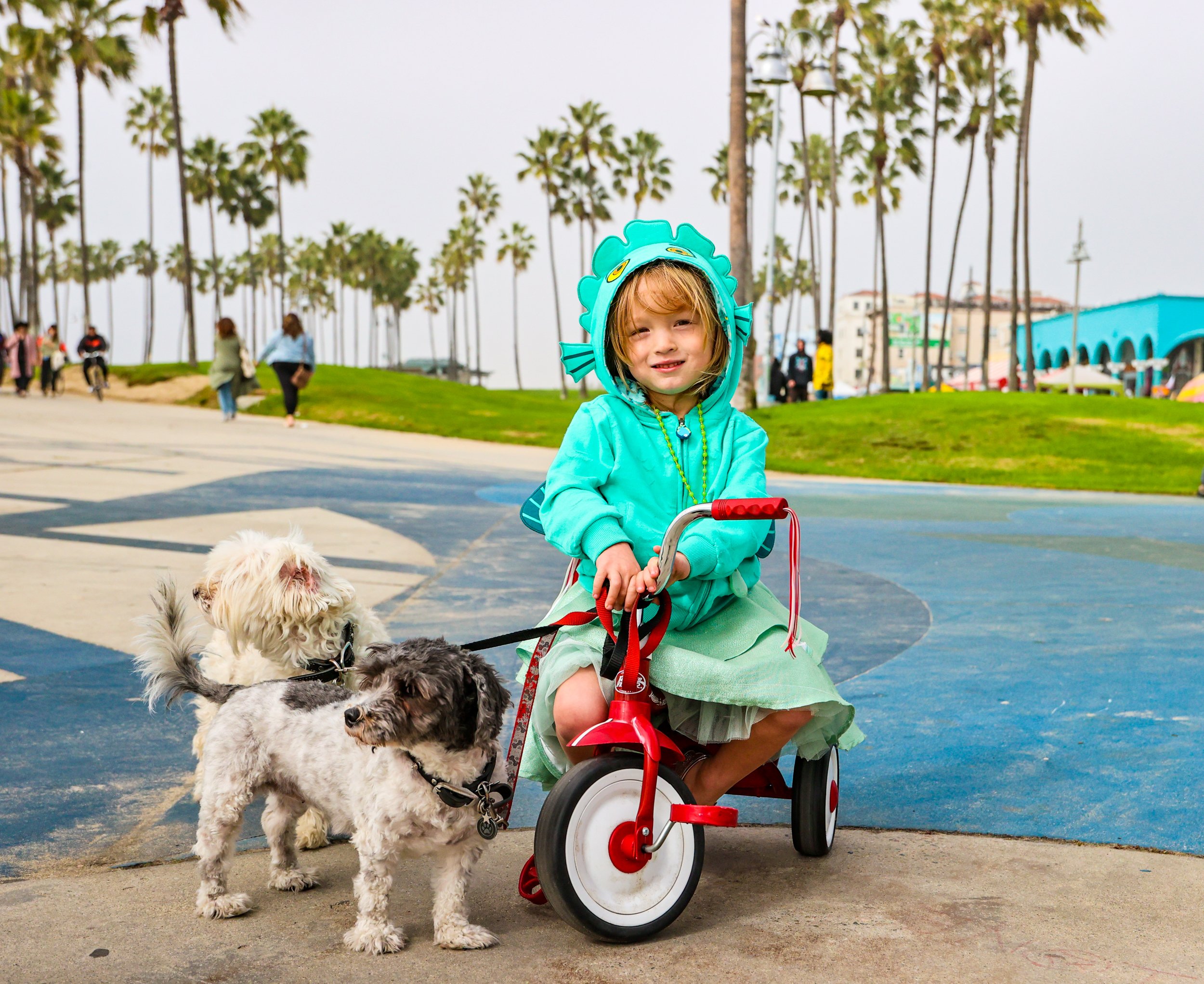 Venice Beach 11.6.21-46.jpg