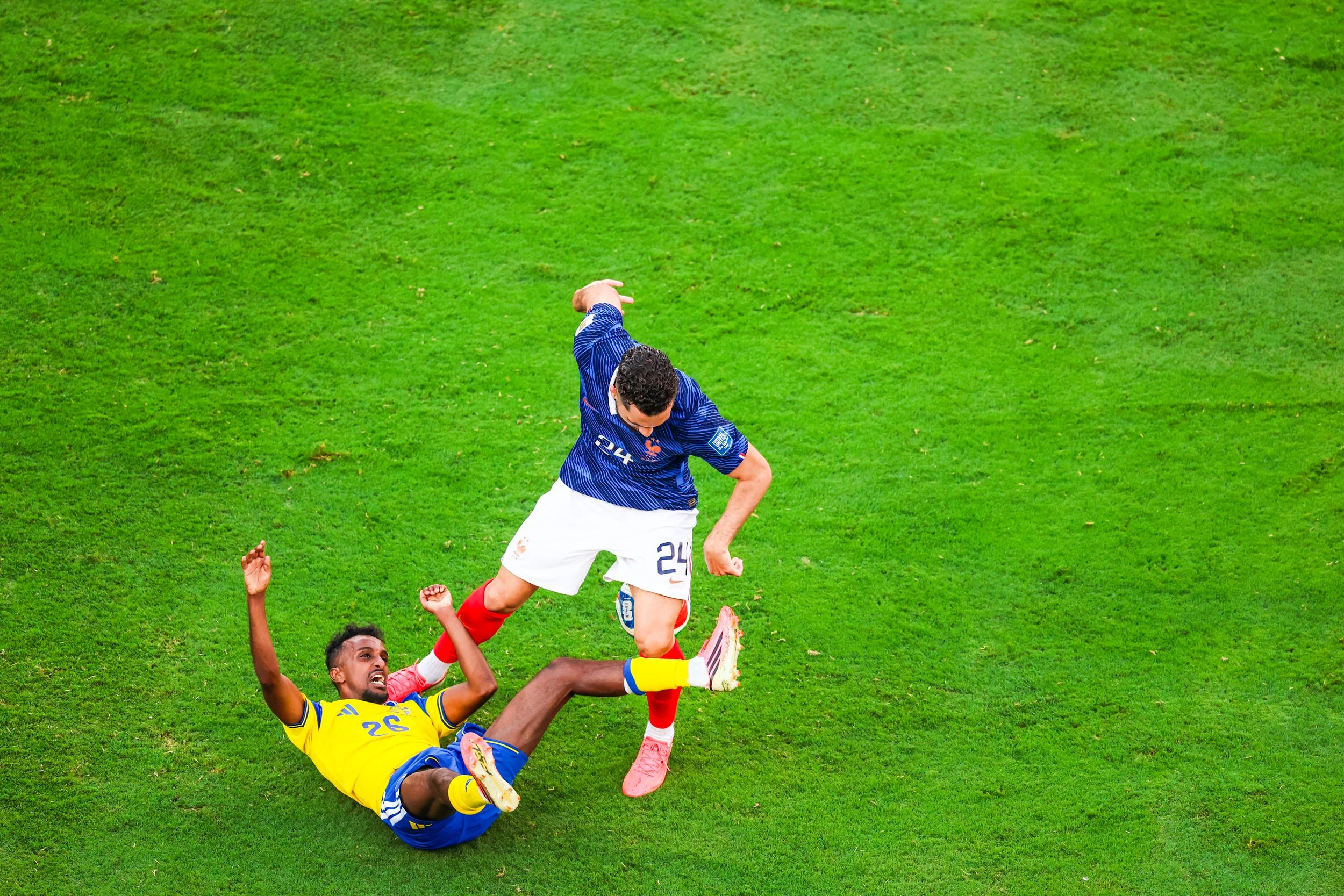 France vs Sweden. World Cup. MetLife. NJ. 6.30.27 by Mel D. Cole -144.jpg