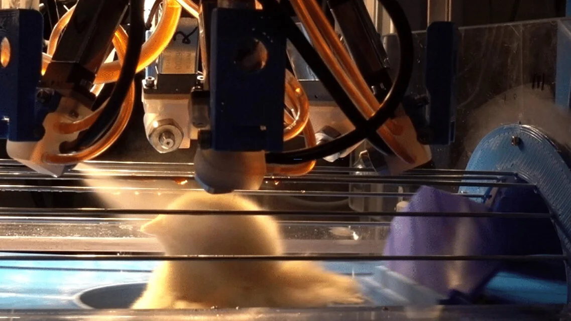  Raleigh company develops method to vaccinate chicks more efficiently