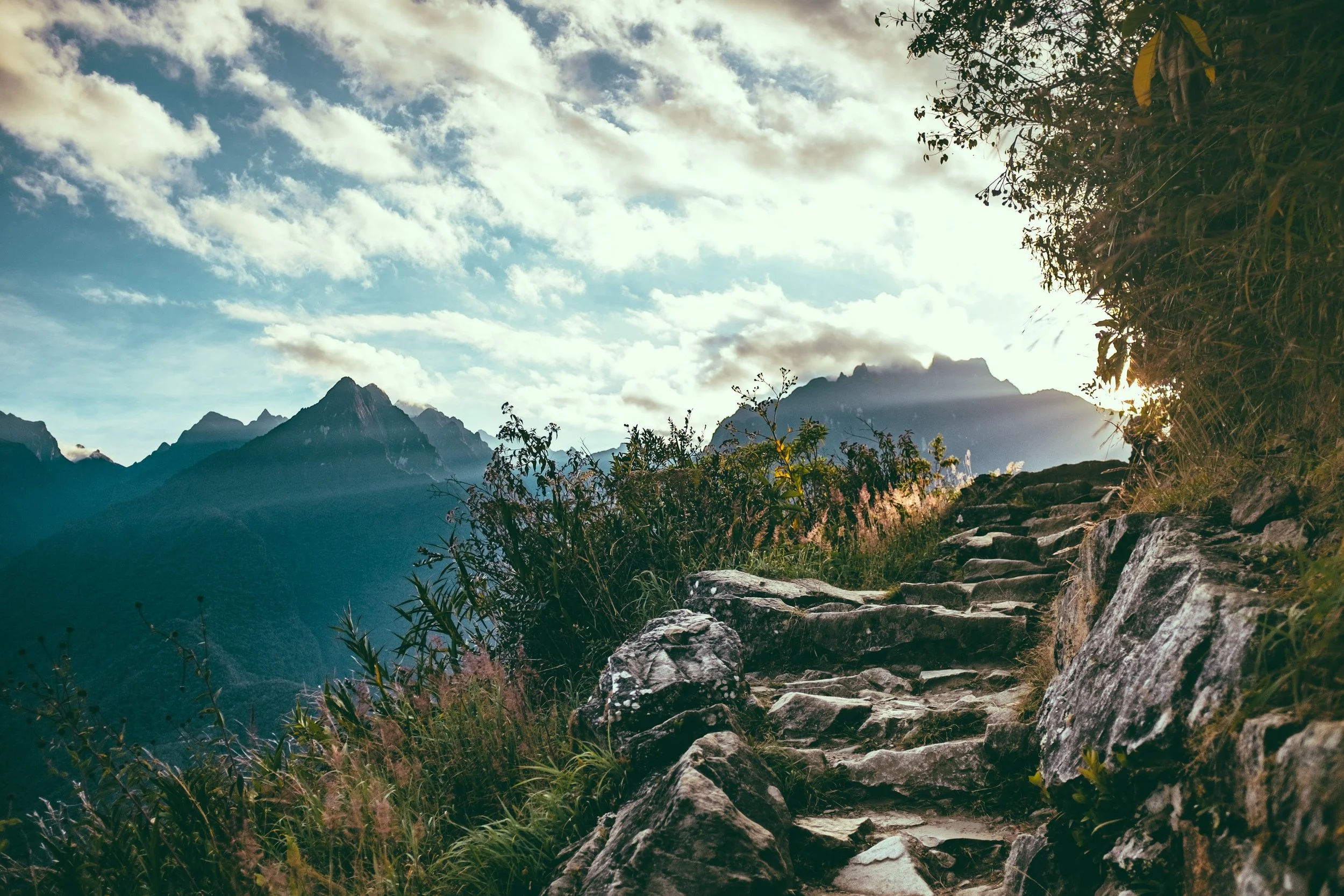 ashim-d-silva-sDRNwsezLU8-unsplash (1).jpg