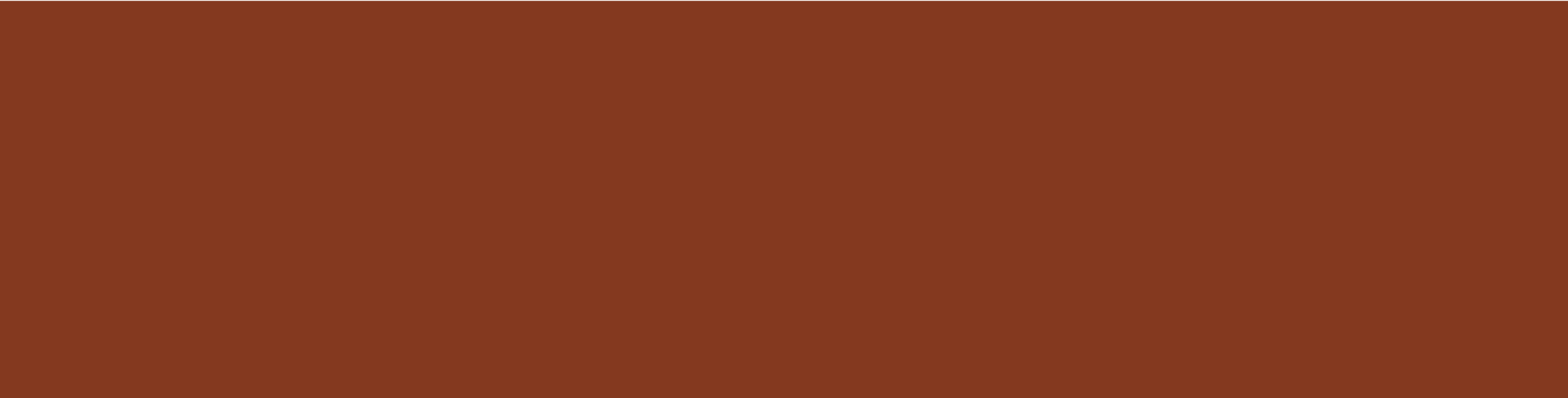 Rust_backgroundArtboard 65 copy 3@2x.png