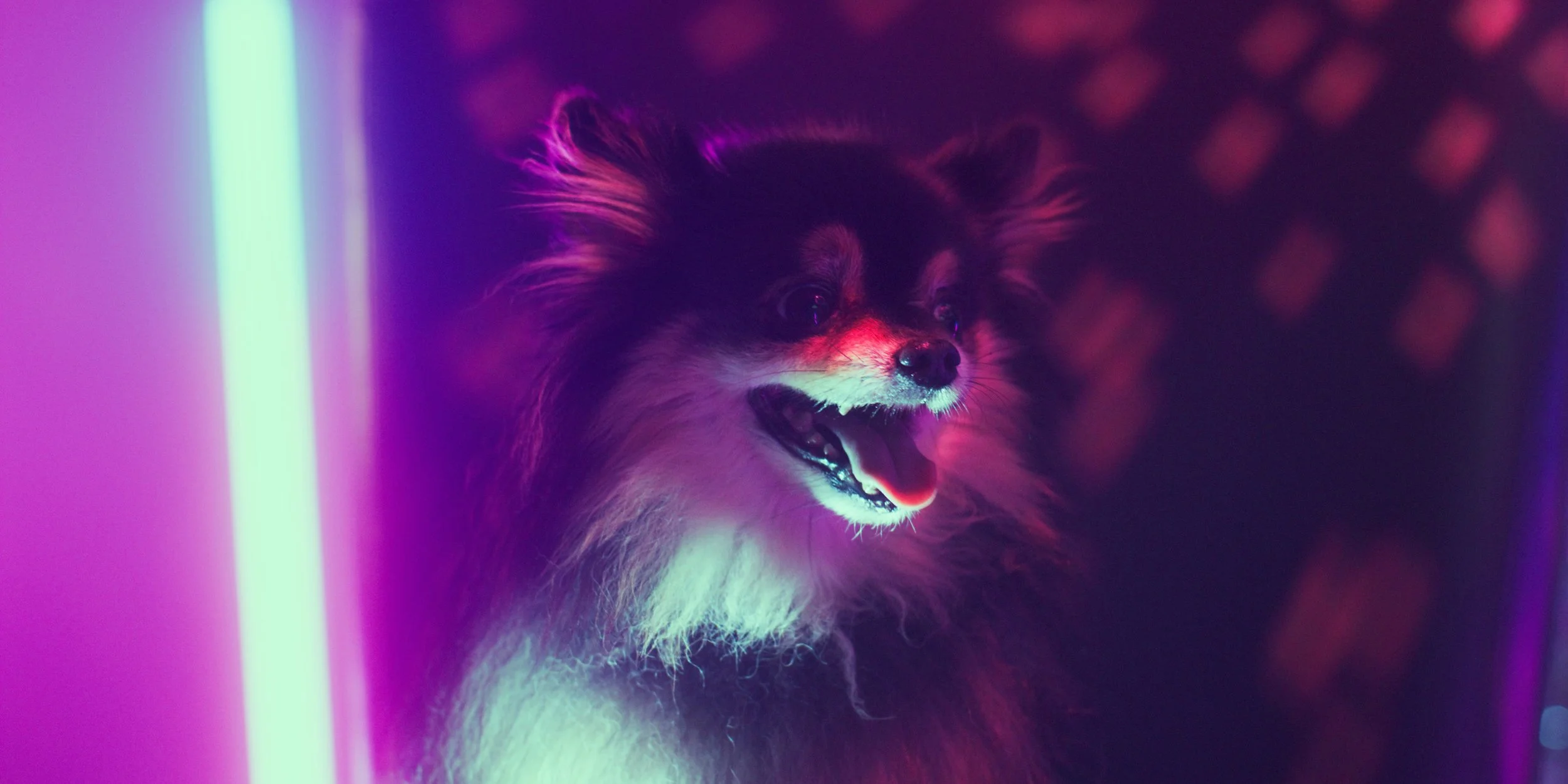 Screenshot 2024-04-21 at 1.42.41 AM.jpeg