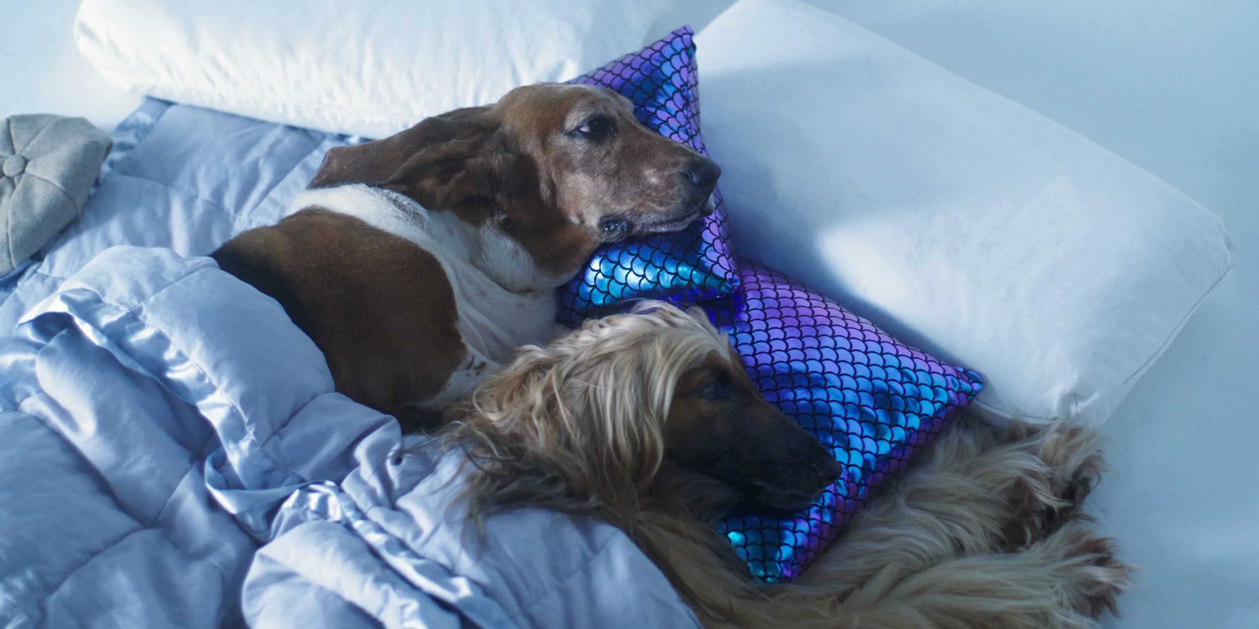 Screenshot 2024-04-21 at 1.51.34 AM.jpeg