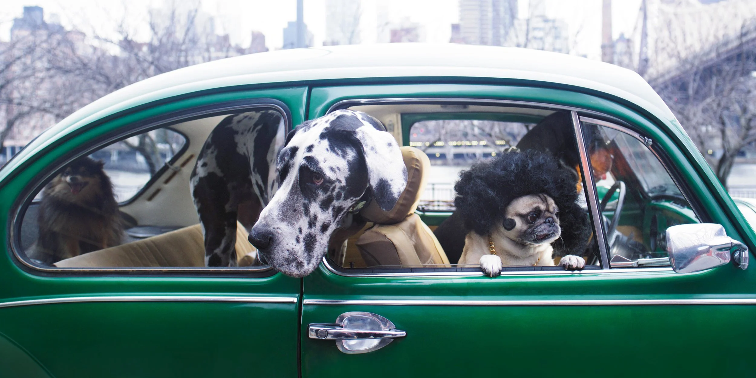 Screenshot 2024-04-21 at 12.25.35 PM.jpeg