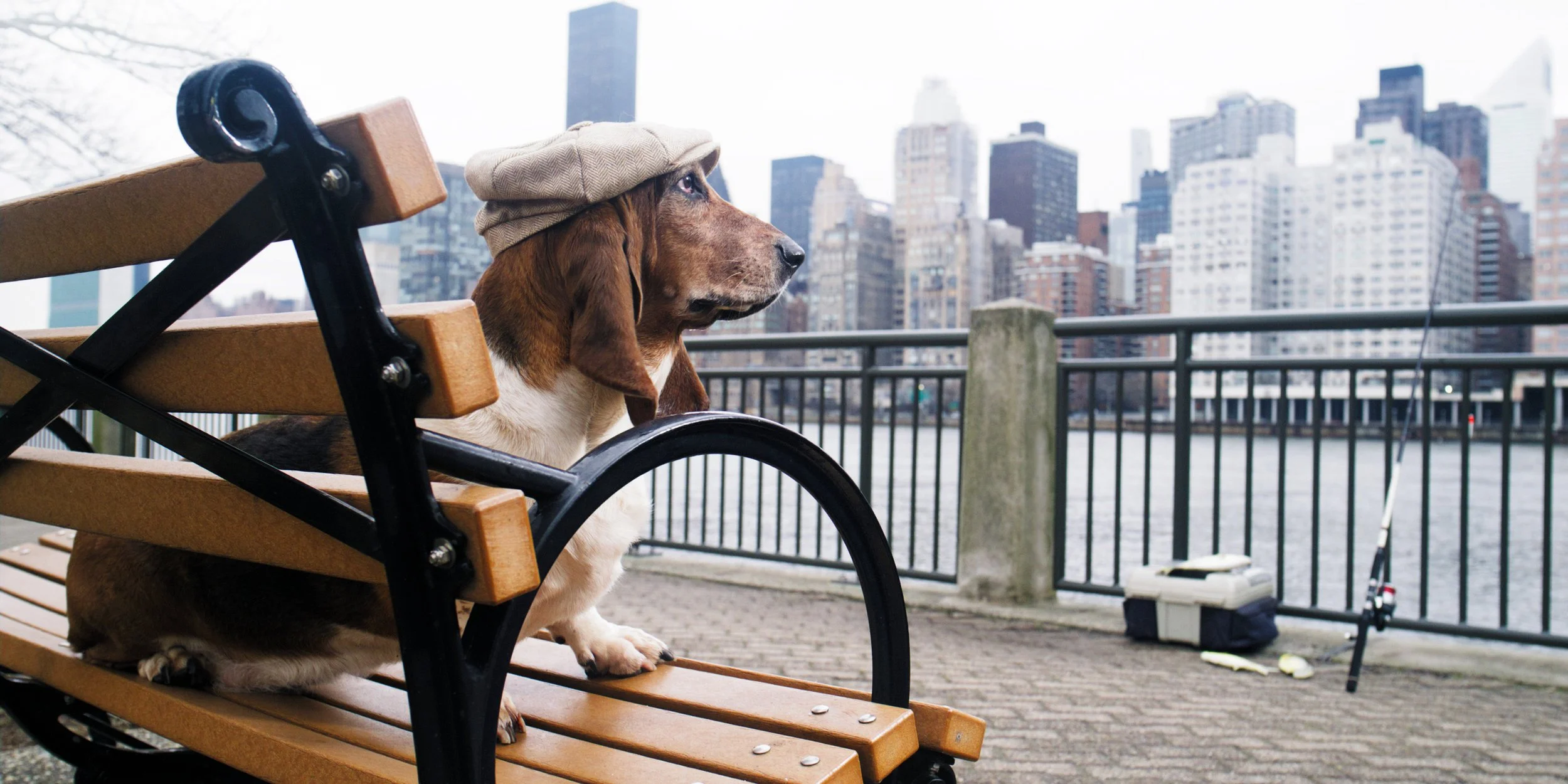 Screenshot 2024-04-21 at 12.39.25 PM.jpeg