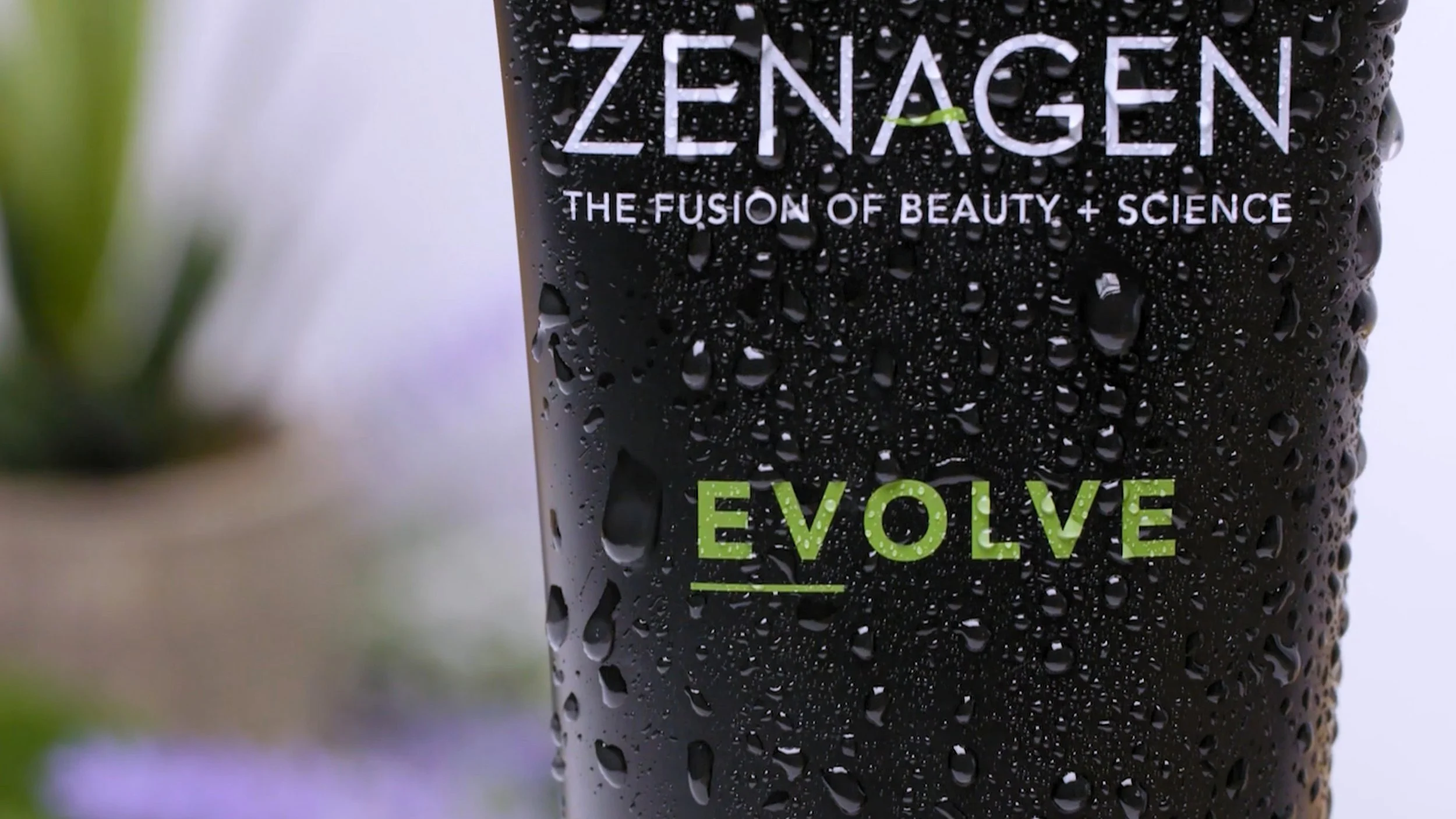 Timeline 1_01_00_13_02_cc1.jpg