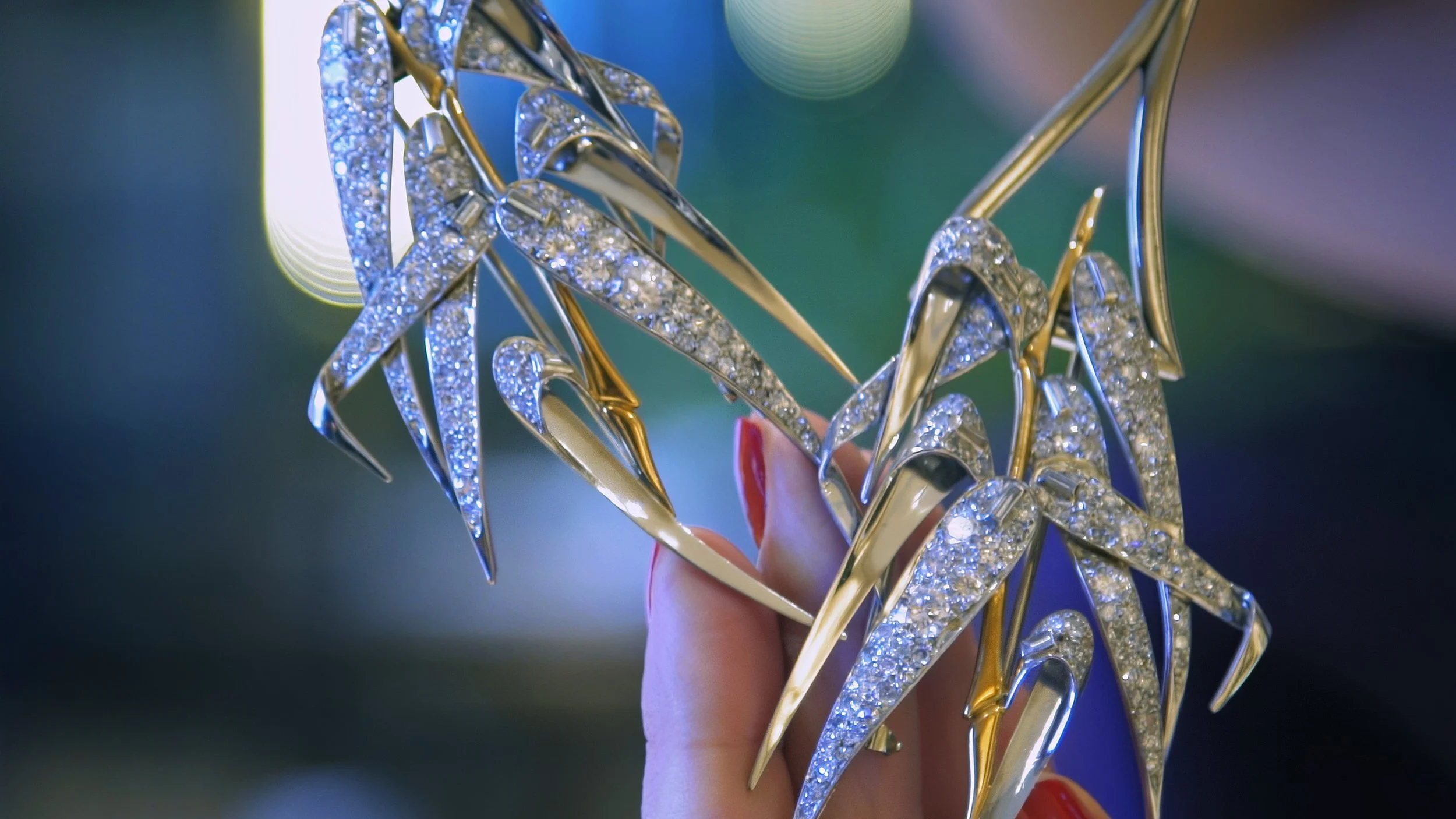 Timeline 1_01_00_18_13 _cc1.jpg