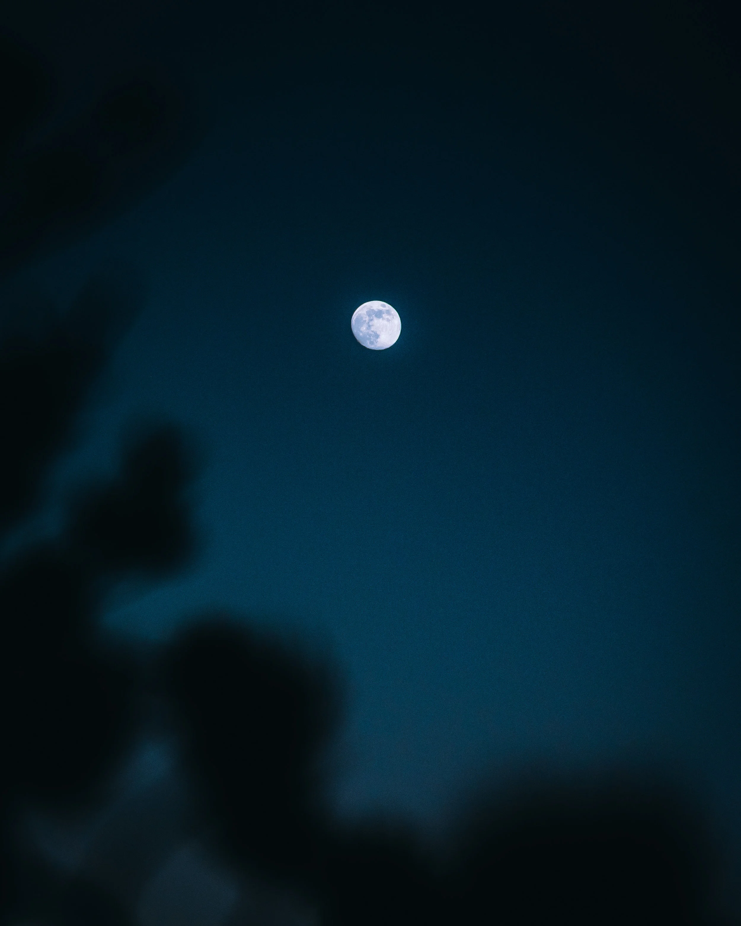 NEF_2343.jpg