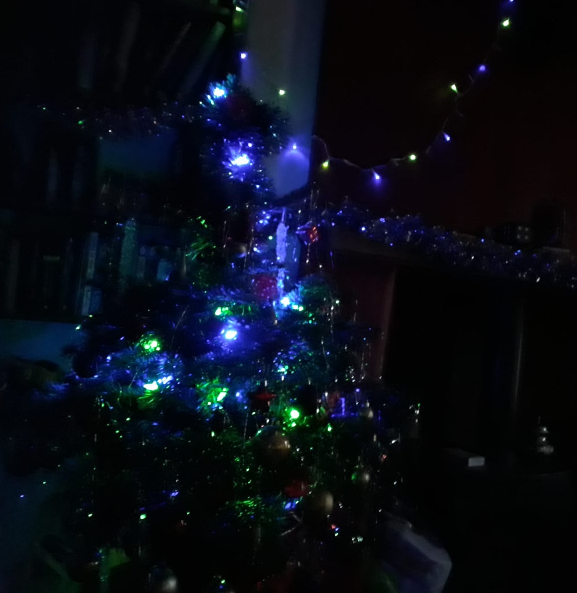 The Speculation Station - Bonus - The Advent of Christmas.jpeg