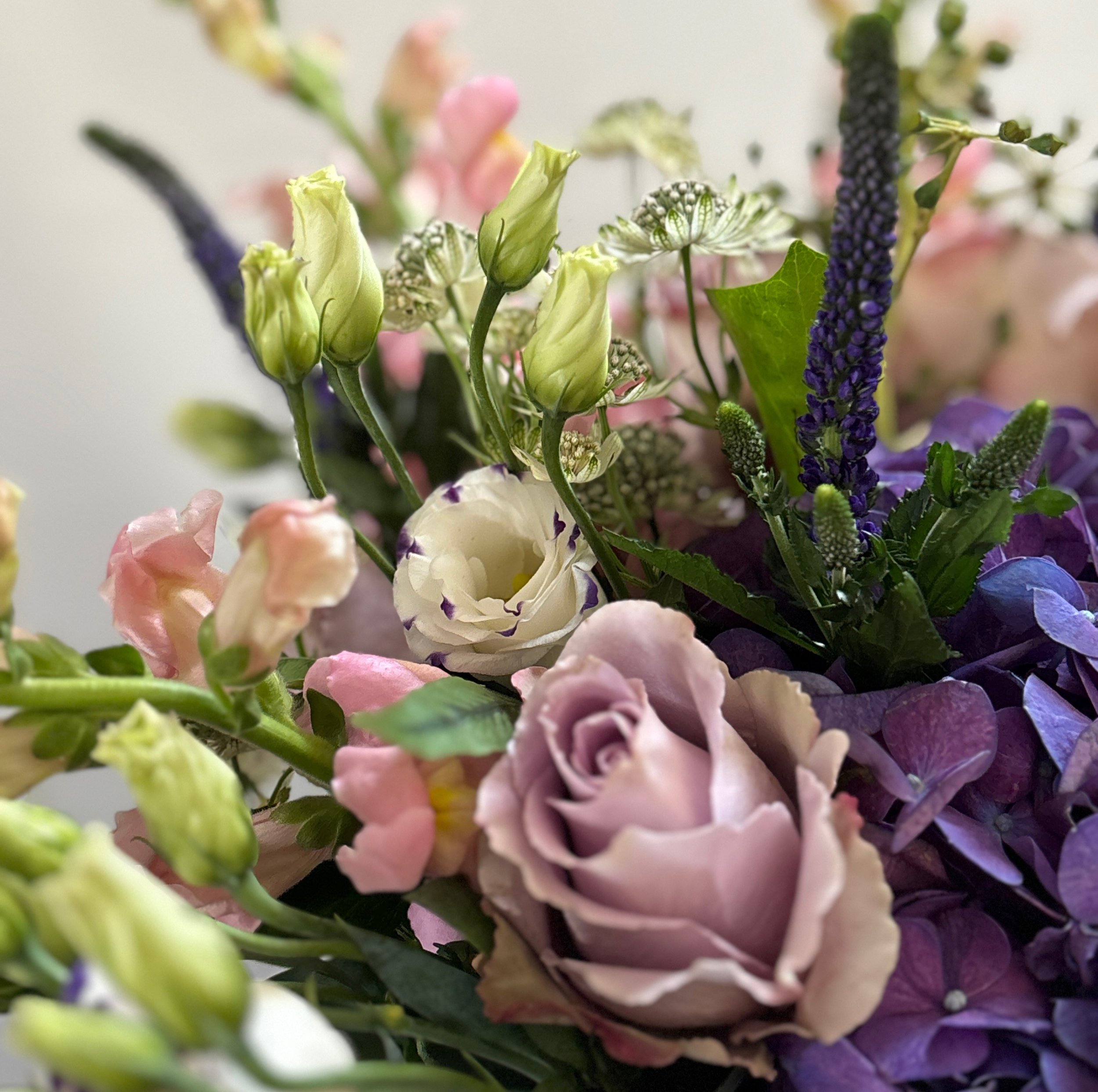 Passover 2026 Entertaining Ensemble