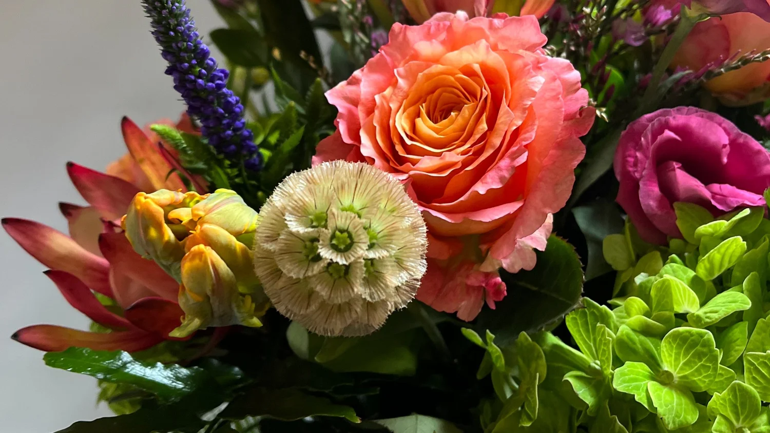 Flowers Arvada Co | Best Flower Site