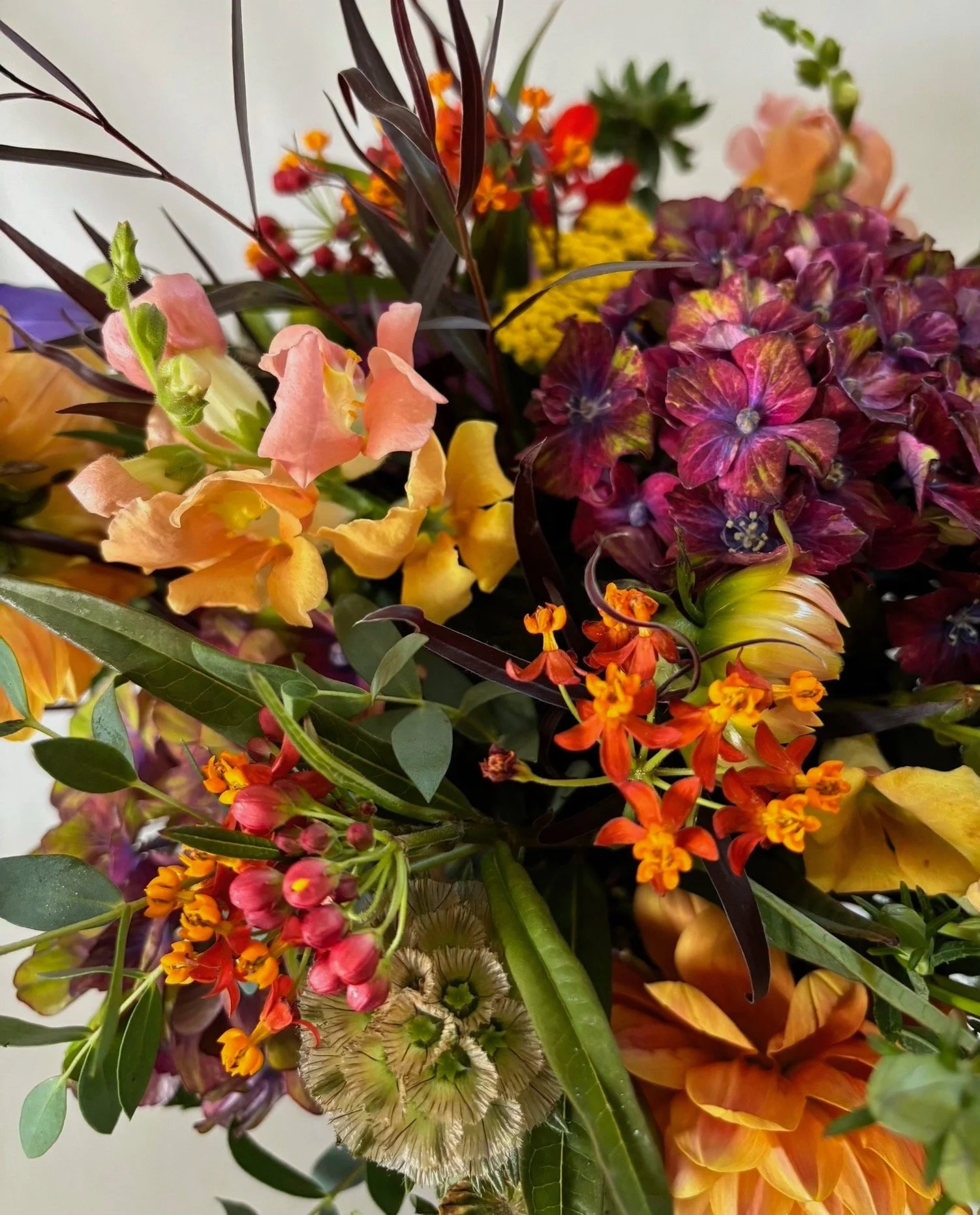 DFEFA7D0-743C-4E83-85BB-680FE95623F0 (1).jpeg