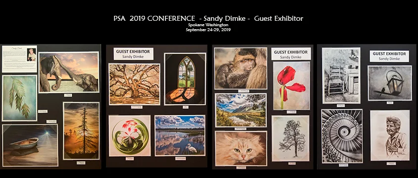 EXCITING NEWS: I was selected as one of 3 Guest Exhibitors at the 2019 Photographic Society of America (PSA) Conference in Spokane, WA