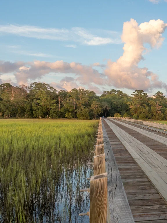 Along the Way to Big Bull Island
