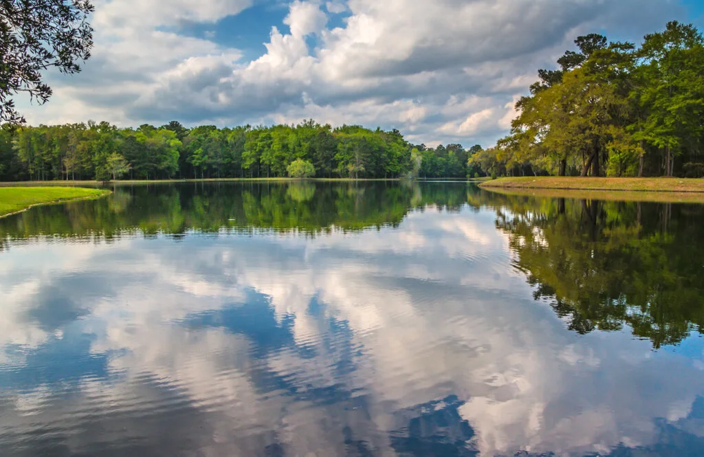 Lake Bellinger Reflections