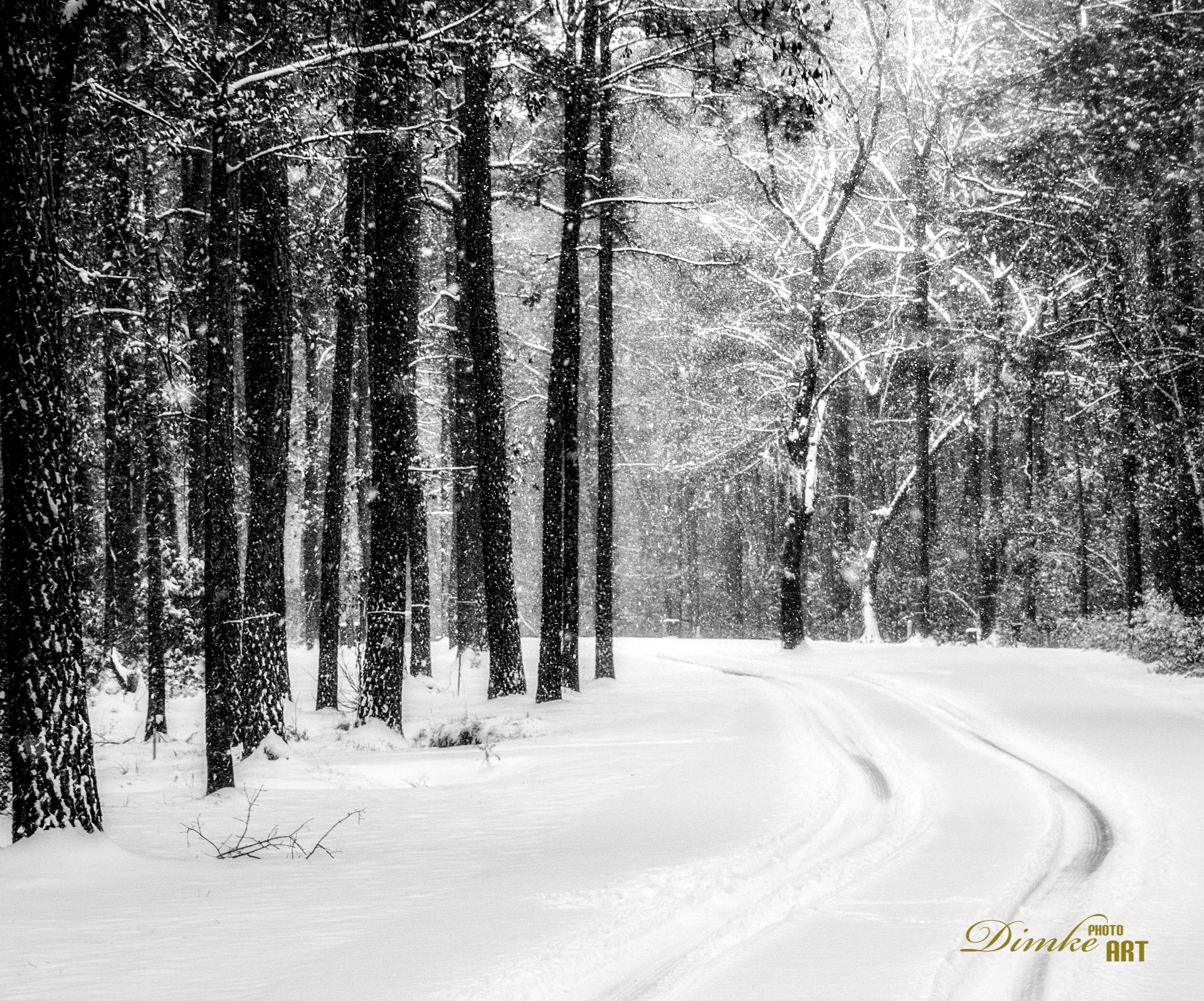 WInter Snow on Barnaby Bluff