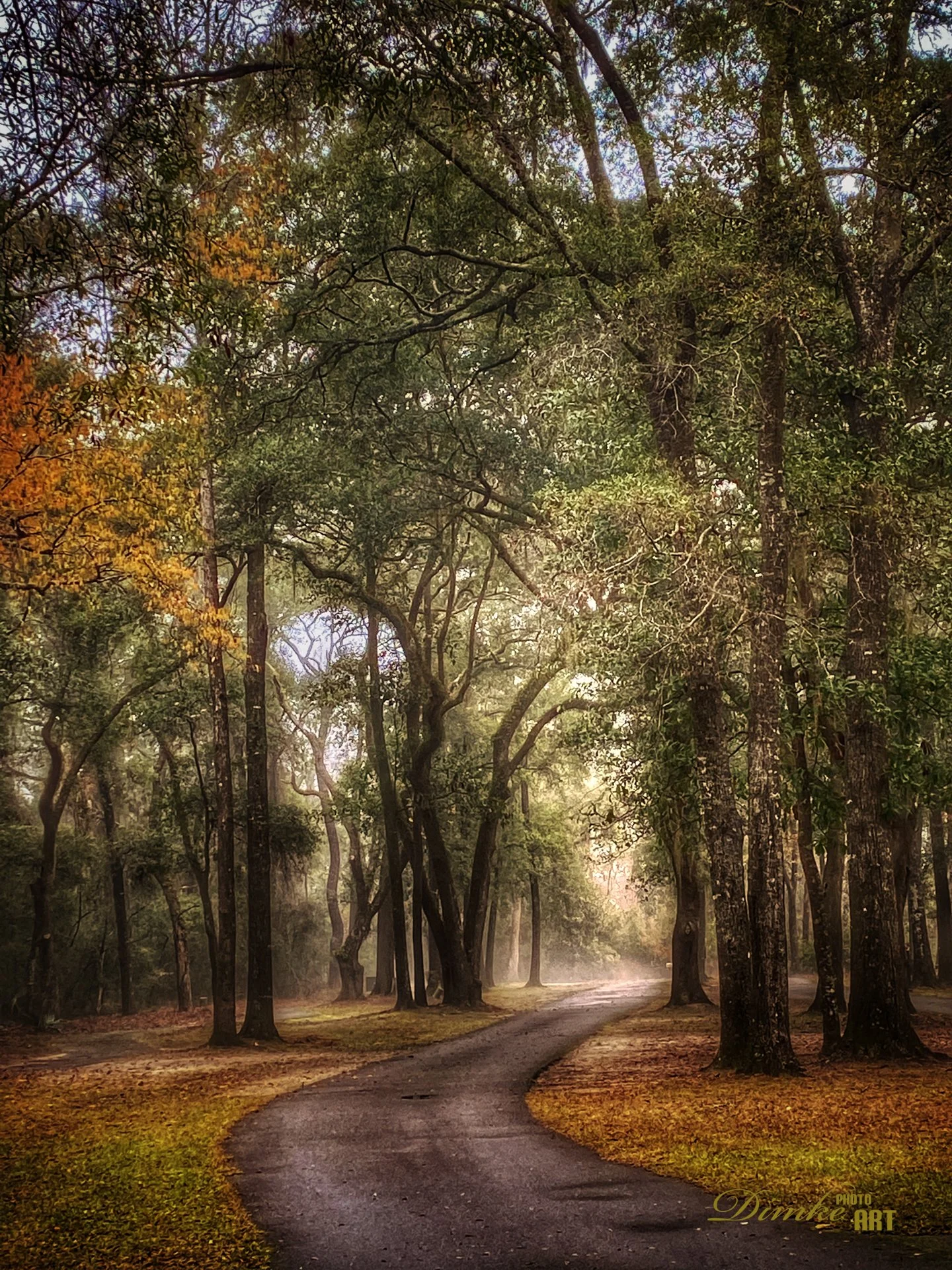 Take the Long Way Home (Bull Point Drive)