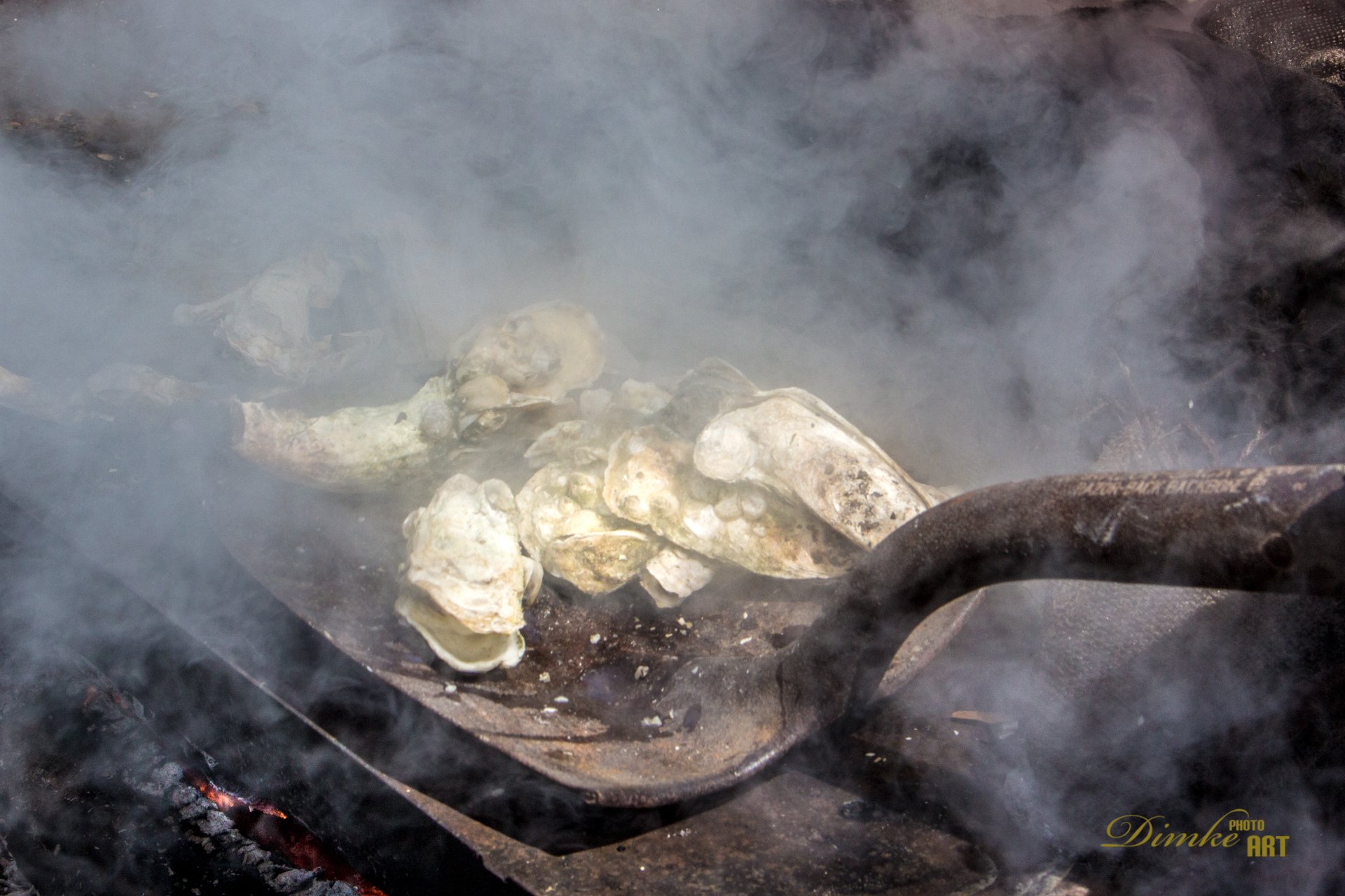 Oyster Roast