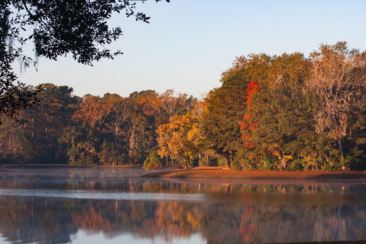 Fall trees at Lake Bellinger