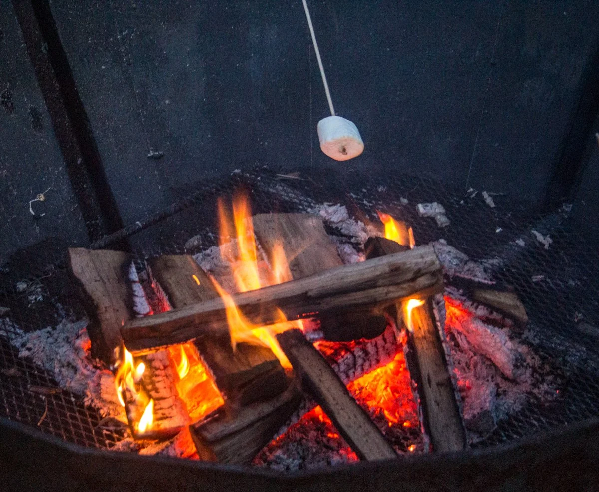 Roasting marshmallows.jpg
