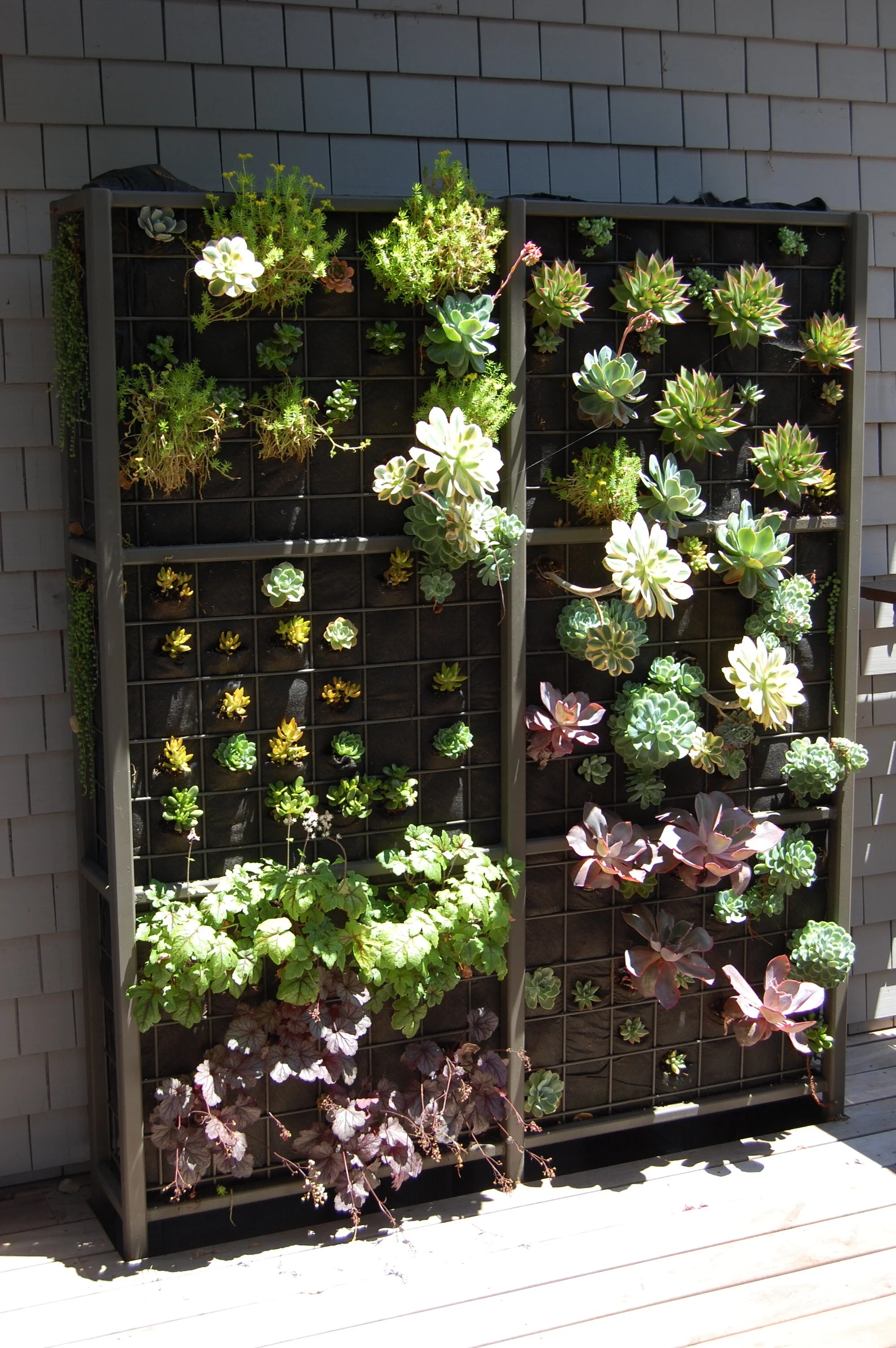 living elements landscape sacramento on Element Garden Design Landscape Design For The San Francisco Bay Area