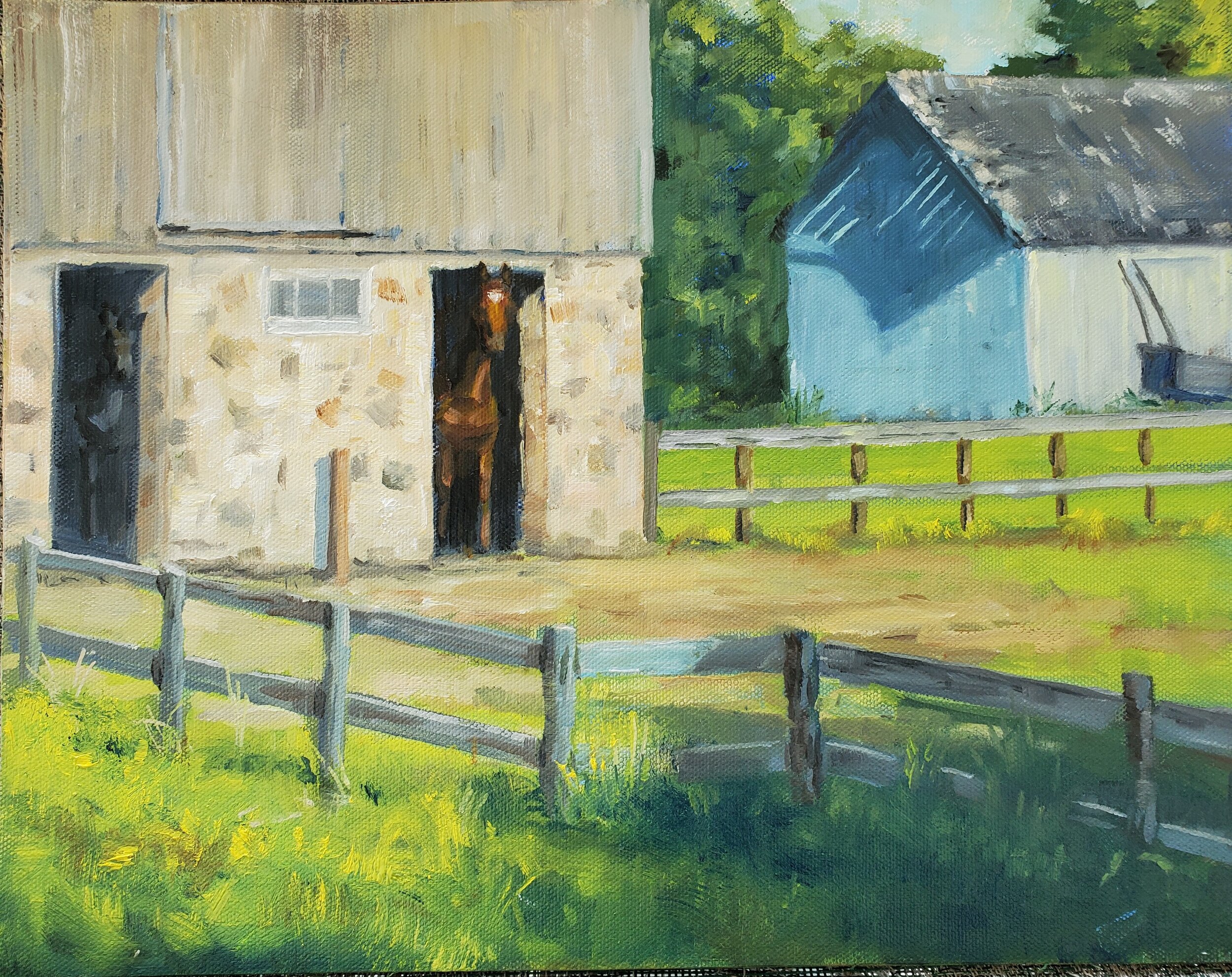 Cooling in the Barn  11x14 Oil