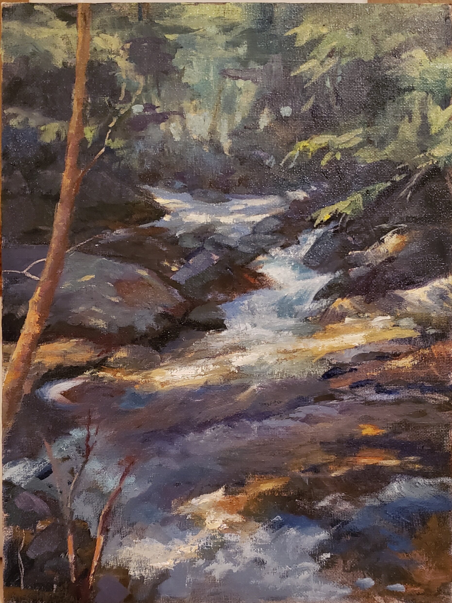 Rocky Mountain Spring Stream 9x12 Oil