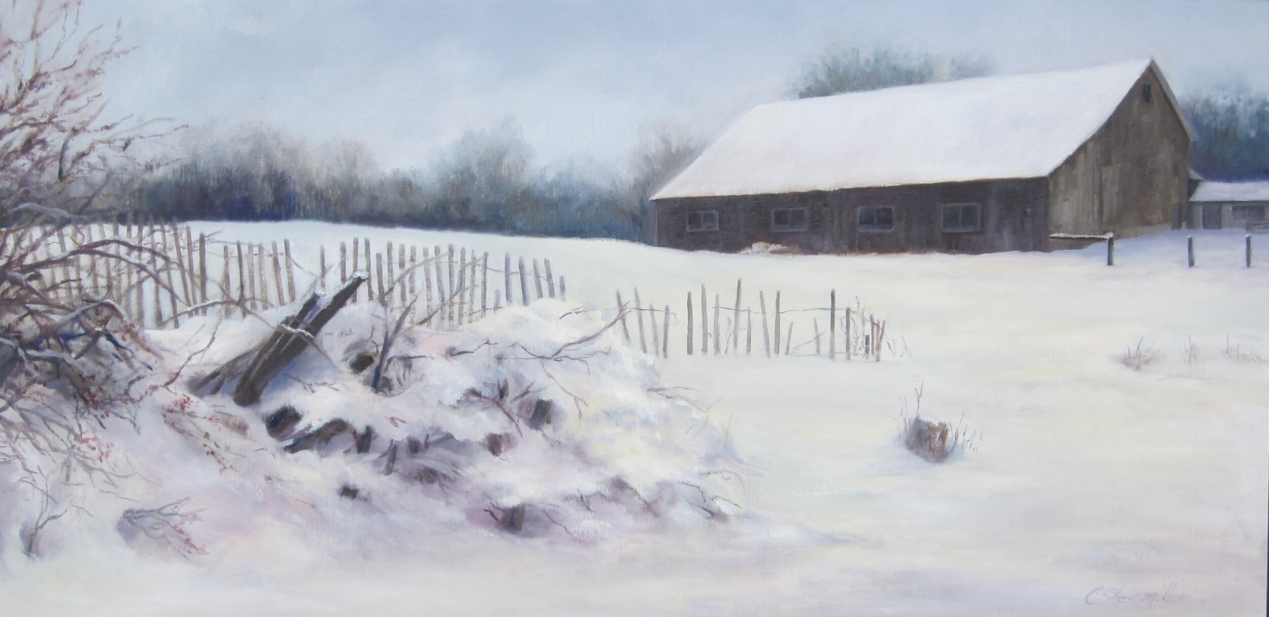 Quiet Winter Day  20x40 Oil