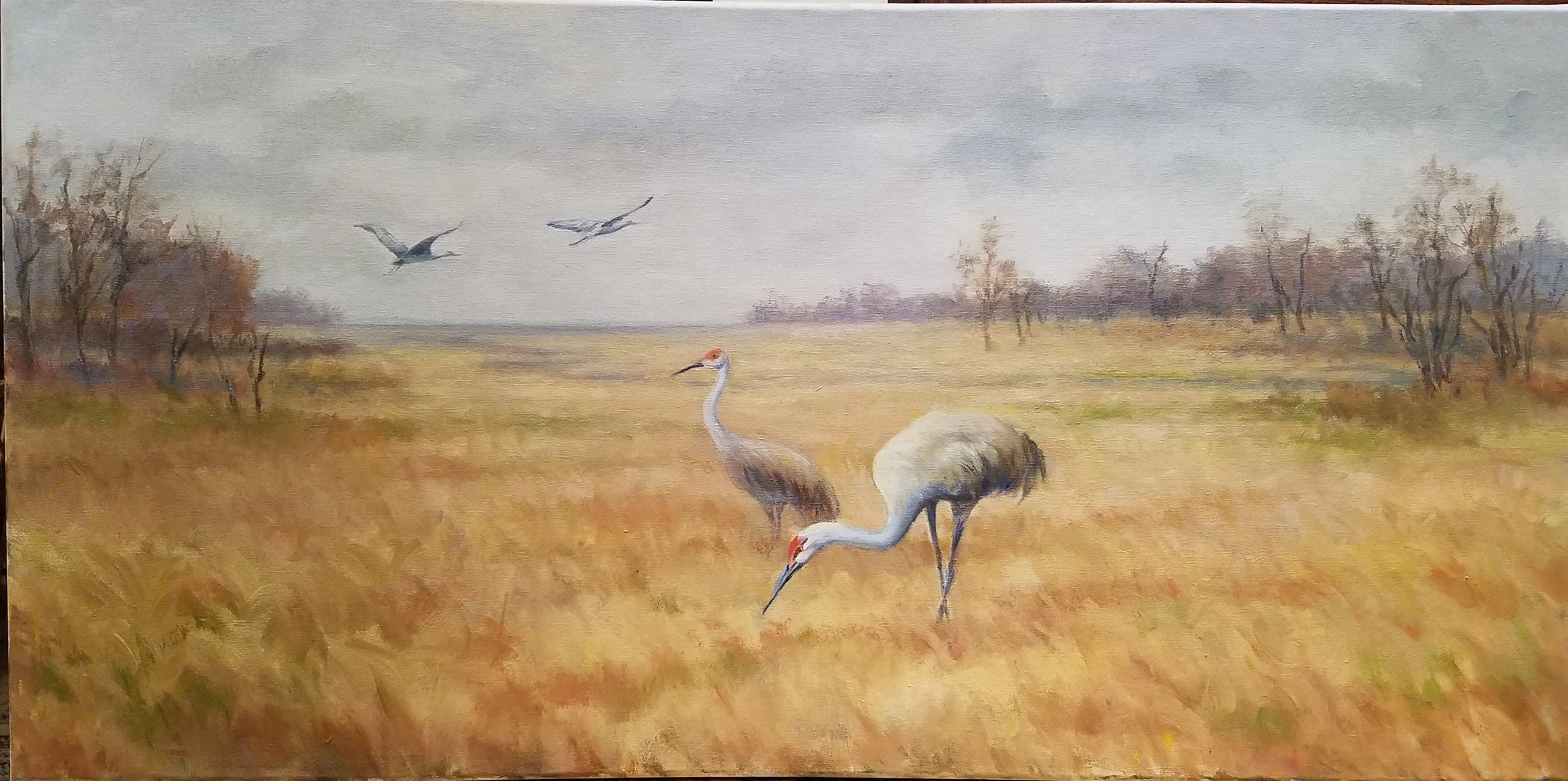 Fall Migration 20x40 oil SOLD