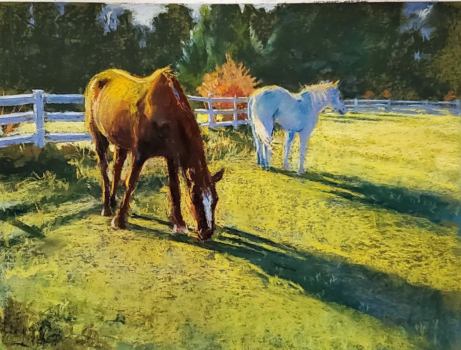 Late Day in the Pasture