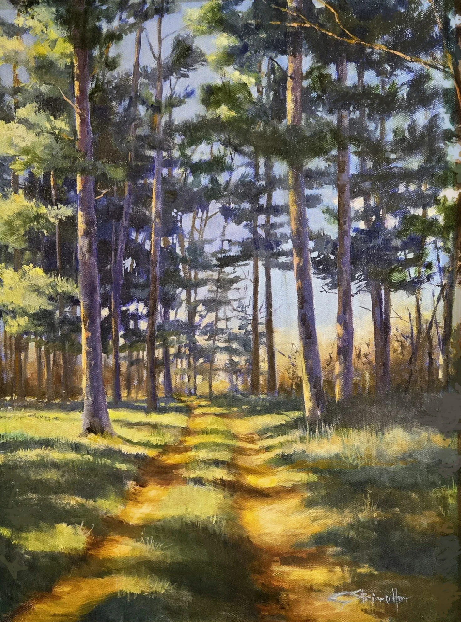 Through the Pines