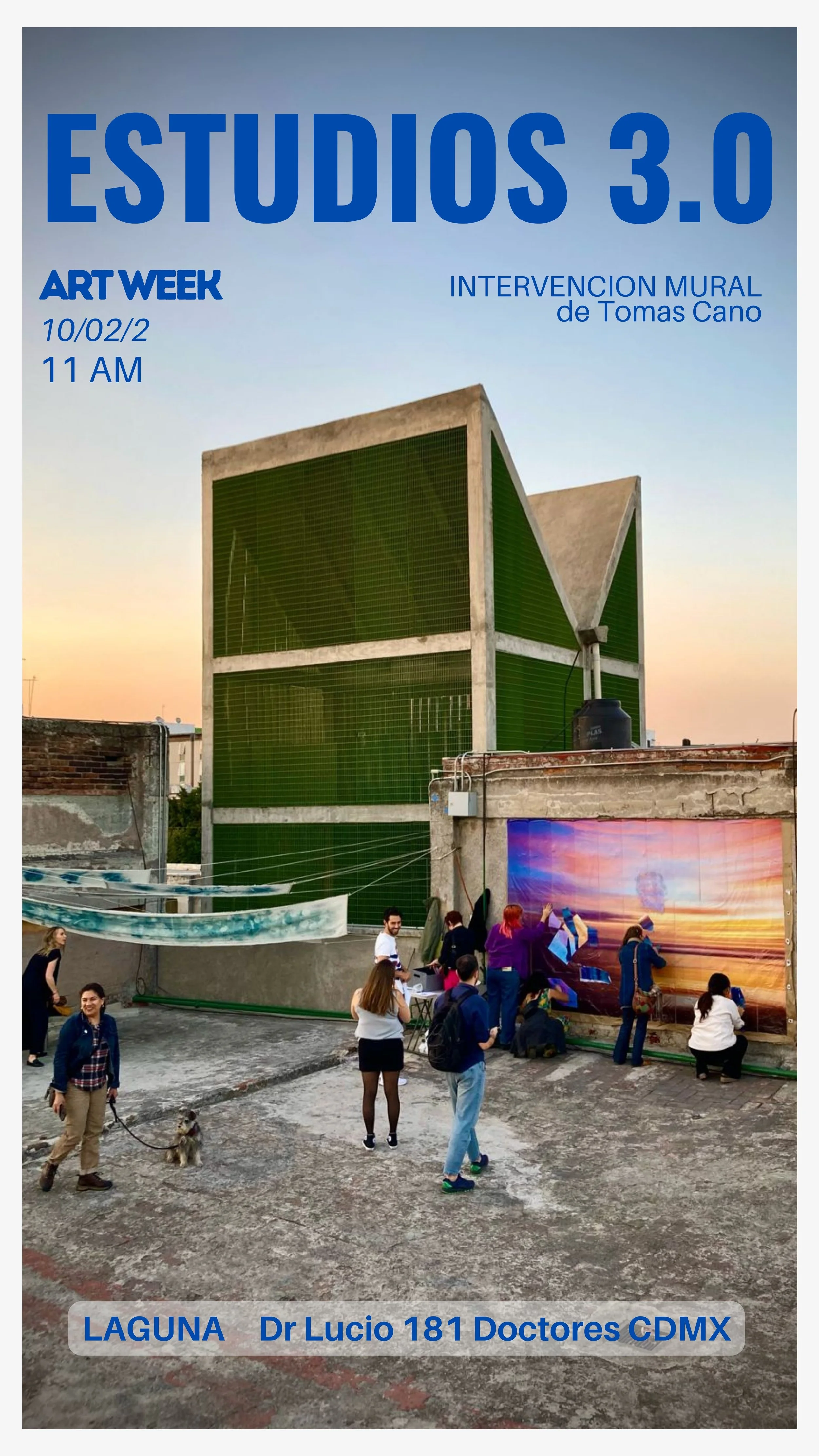 Laguna-Estudio del Horizonte Mural Opening.jpg