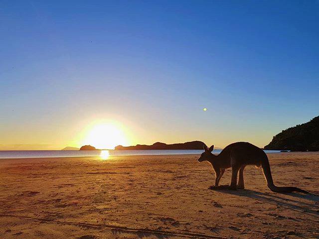  Cape Hillsborough 