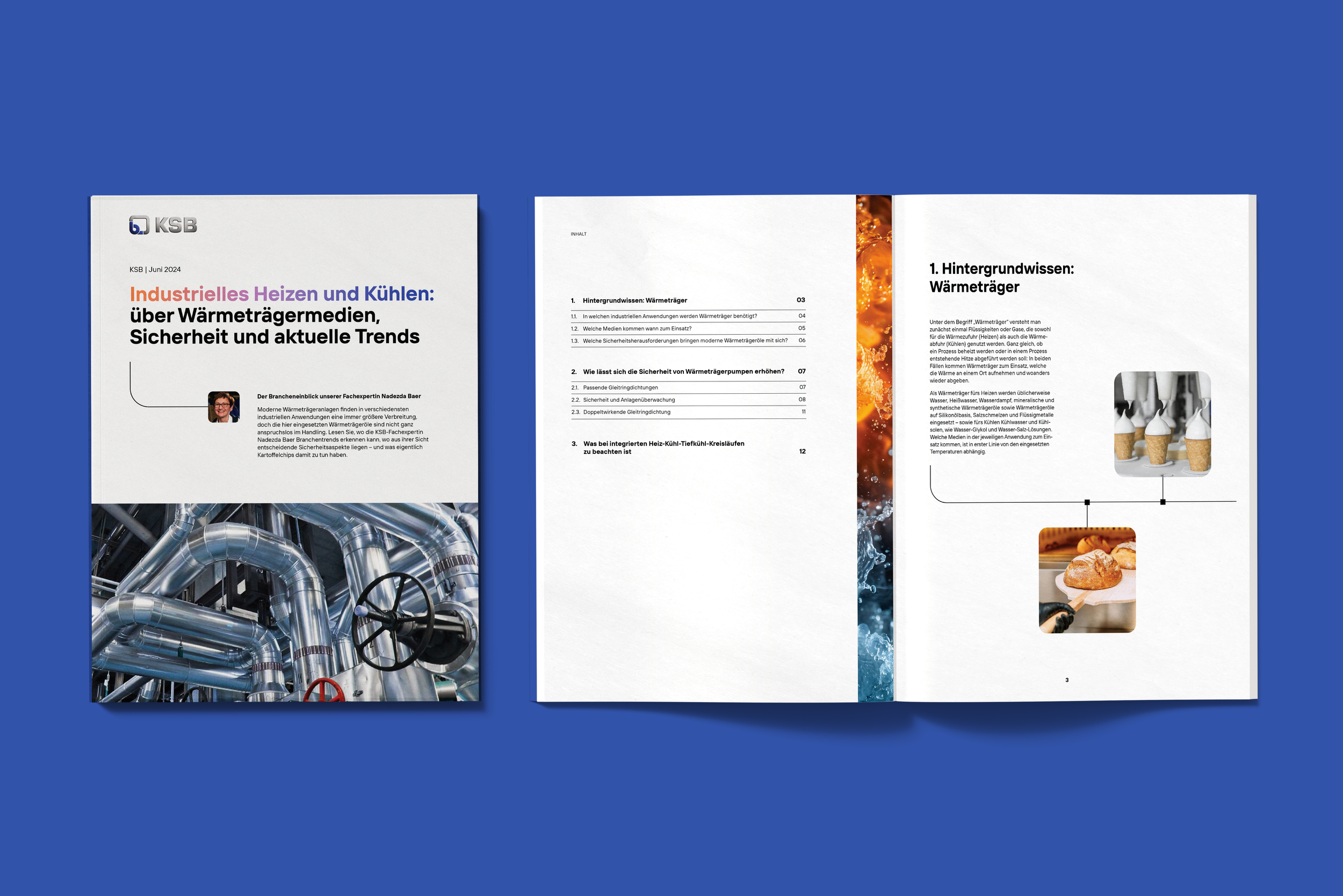 KSB_Whitepaper Report_01.png