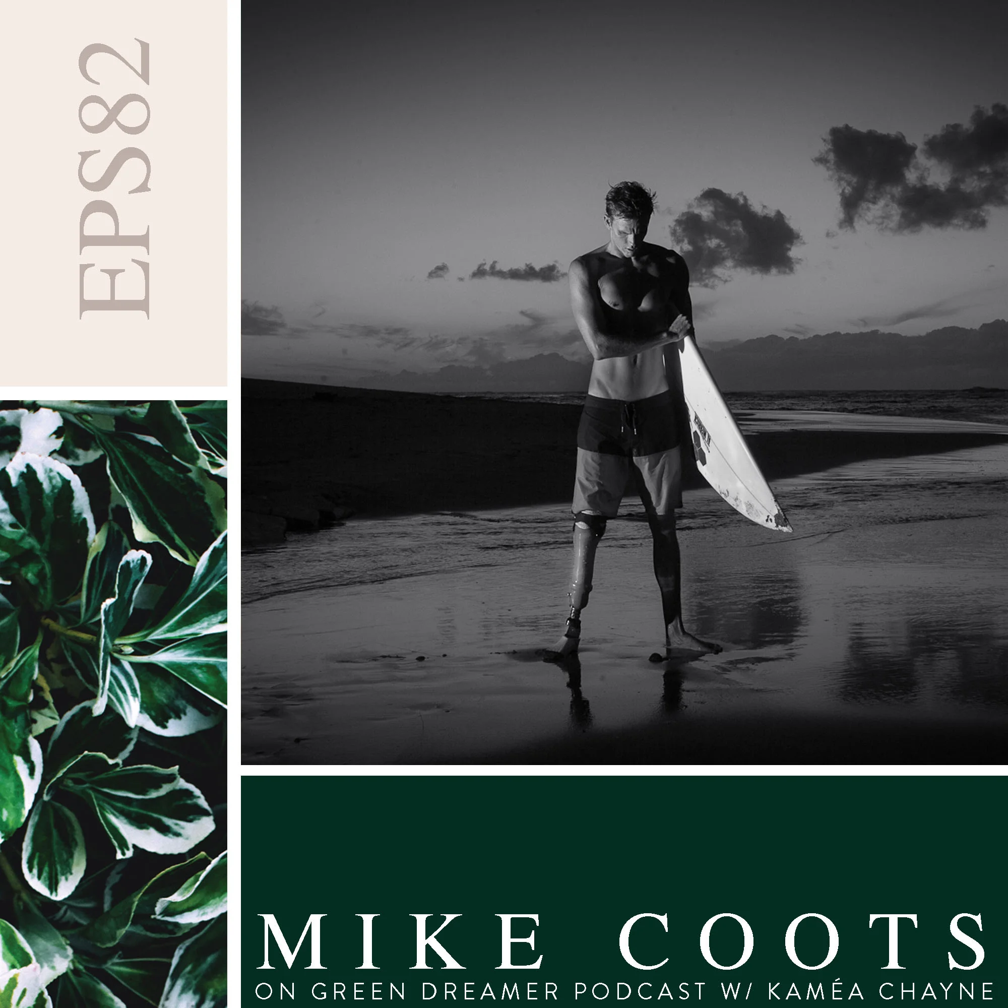 82-Mike-Coots-shark-attack-survivor-shark-conservationist-talks-sustainability-on-Green-Dreamer-Podcast-with-Kamea-Chayne.jpg
