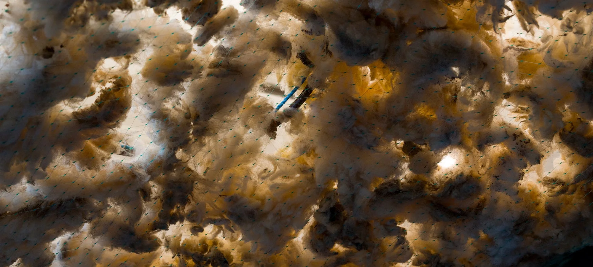 Bjørn Magnussen, Forståelse, 2026 - foto Jan Søndergaard_2000x900px.jpg