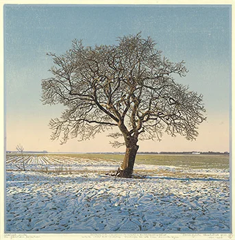 Siemen Dijkstra: Enkeltstående eg. Farvetræsnit. 2008