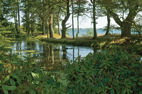 Janne Klerk: Fænø 2008