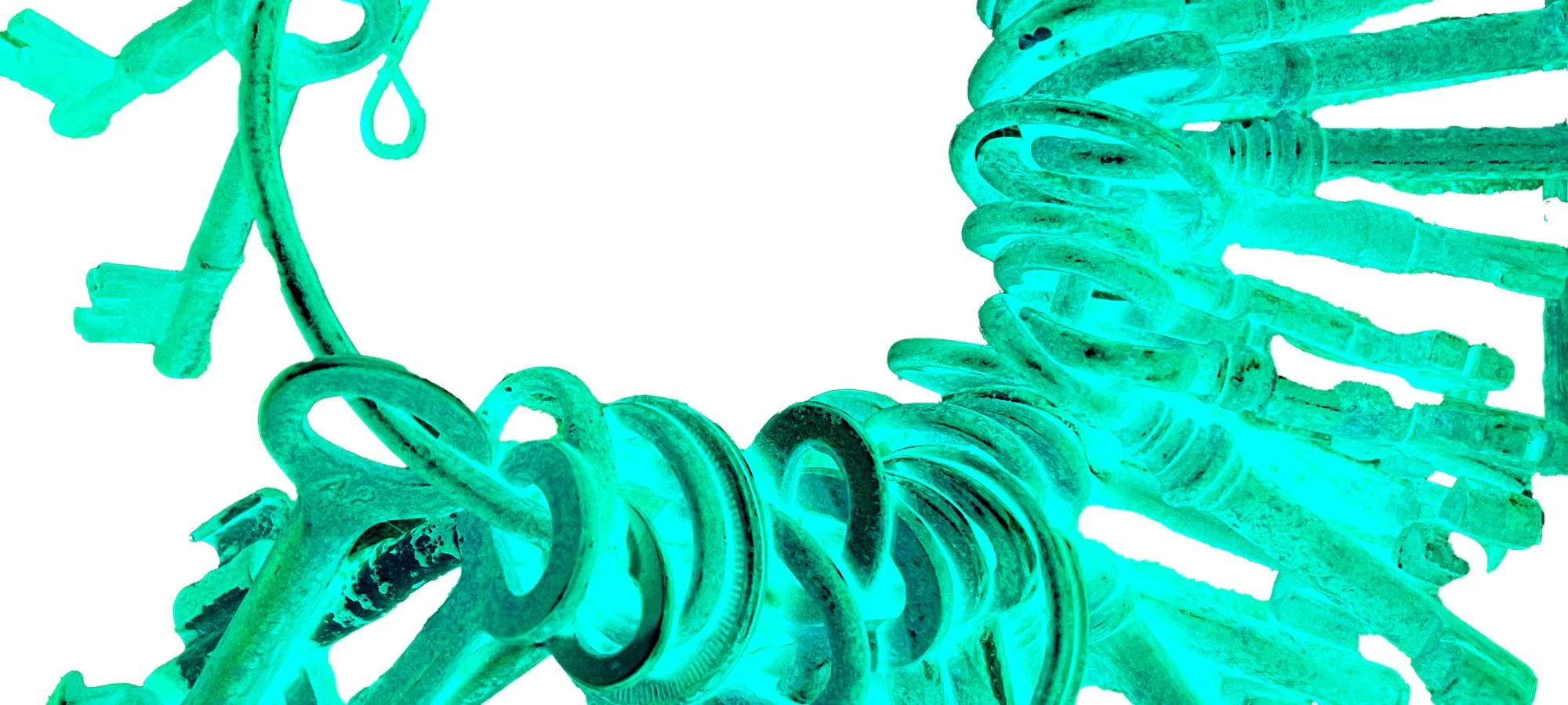 foto til indsamling til Nøgleværk_2000x900px.jpg