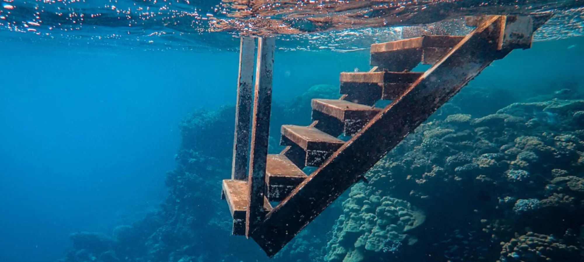 Ladder under water_foto Francisco Ungaro_2000x900px.jpg