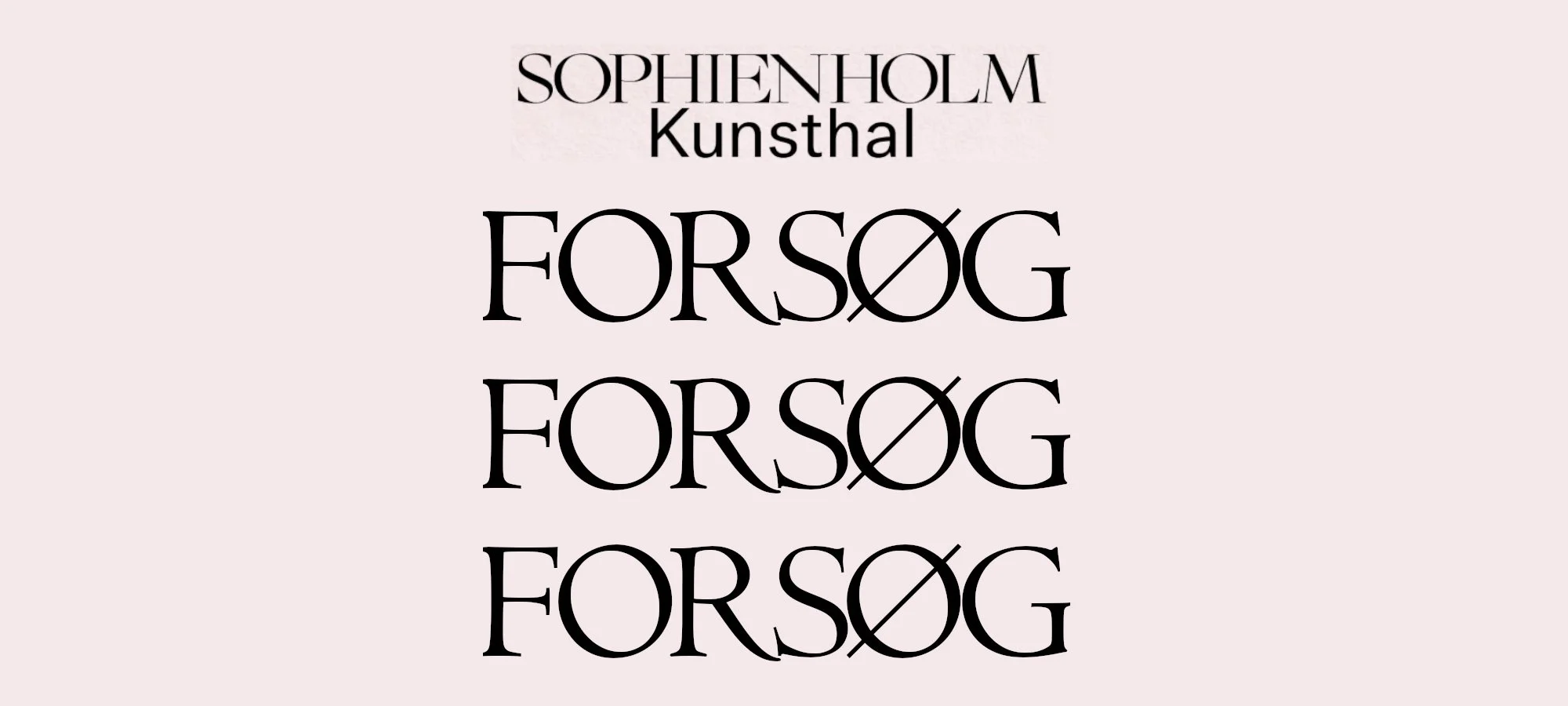 grafik_forsøg forsøg forsøg2_2000x900px.jpg