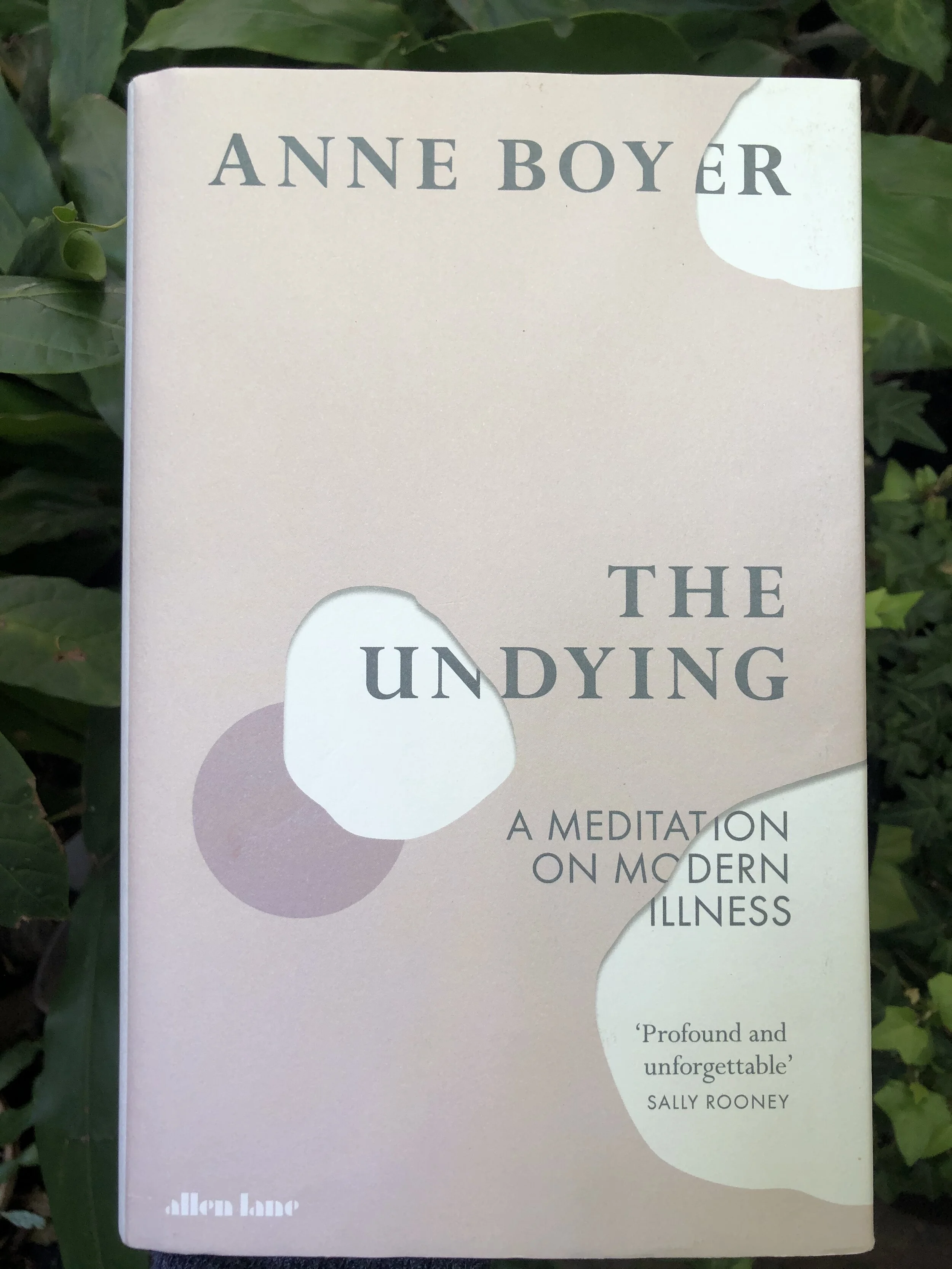 The Undying: A meditation on modern illness by Anne Boyer