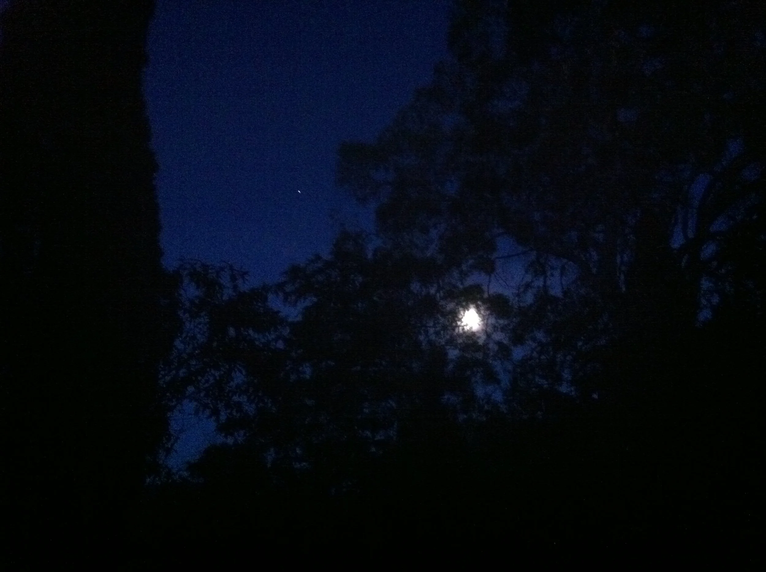 Valuing country: let me count three ways (Griffith Review 63: Writing the Country, 2019)