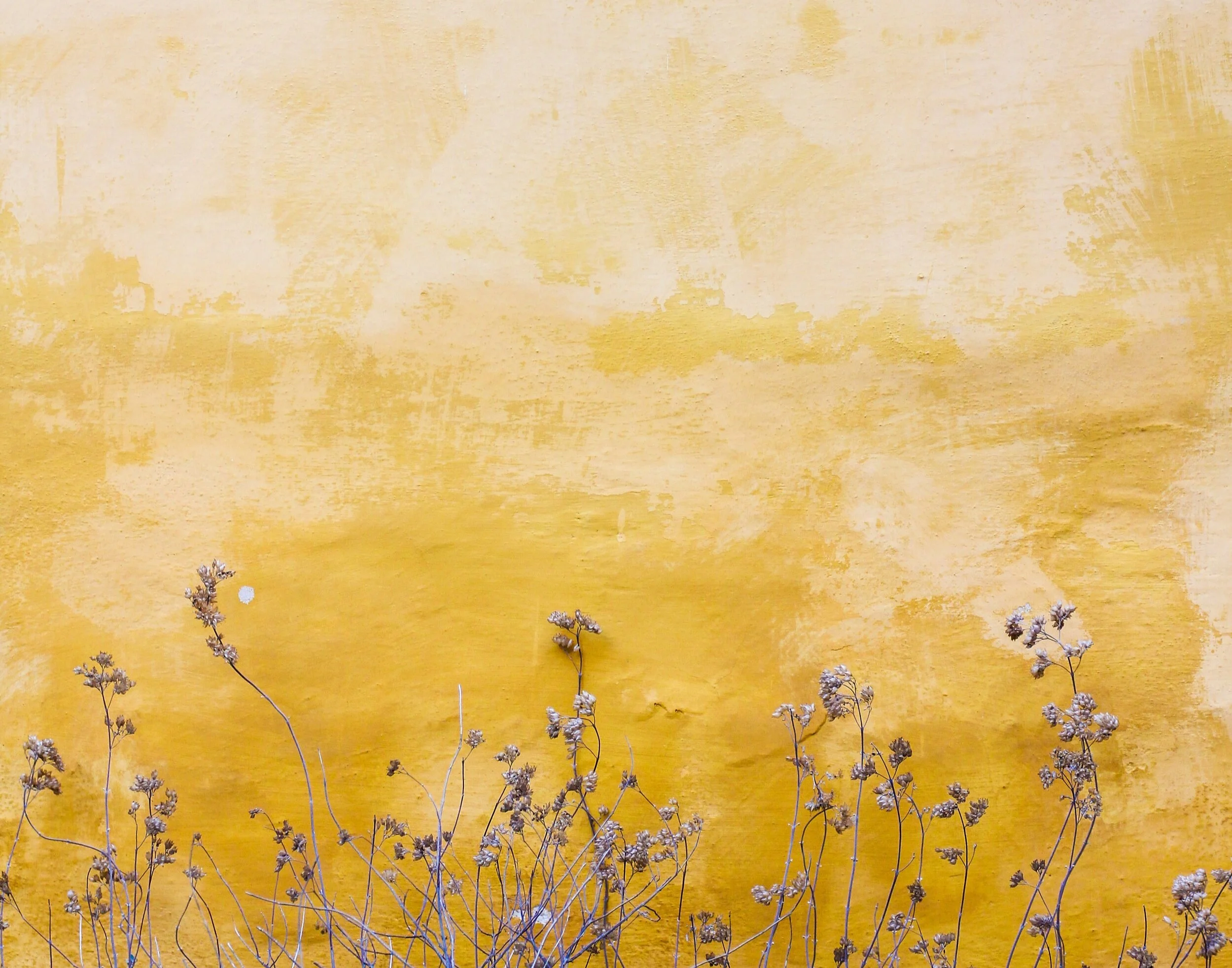 ...As You Trust In Him