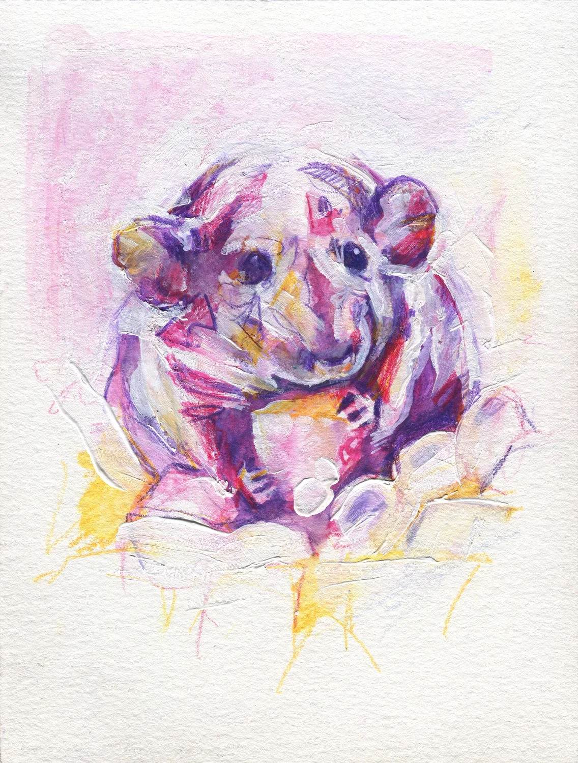 The100RatProject 001/100