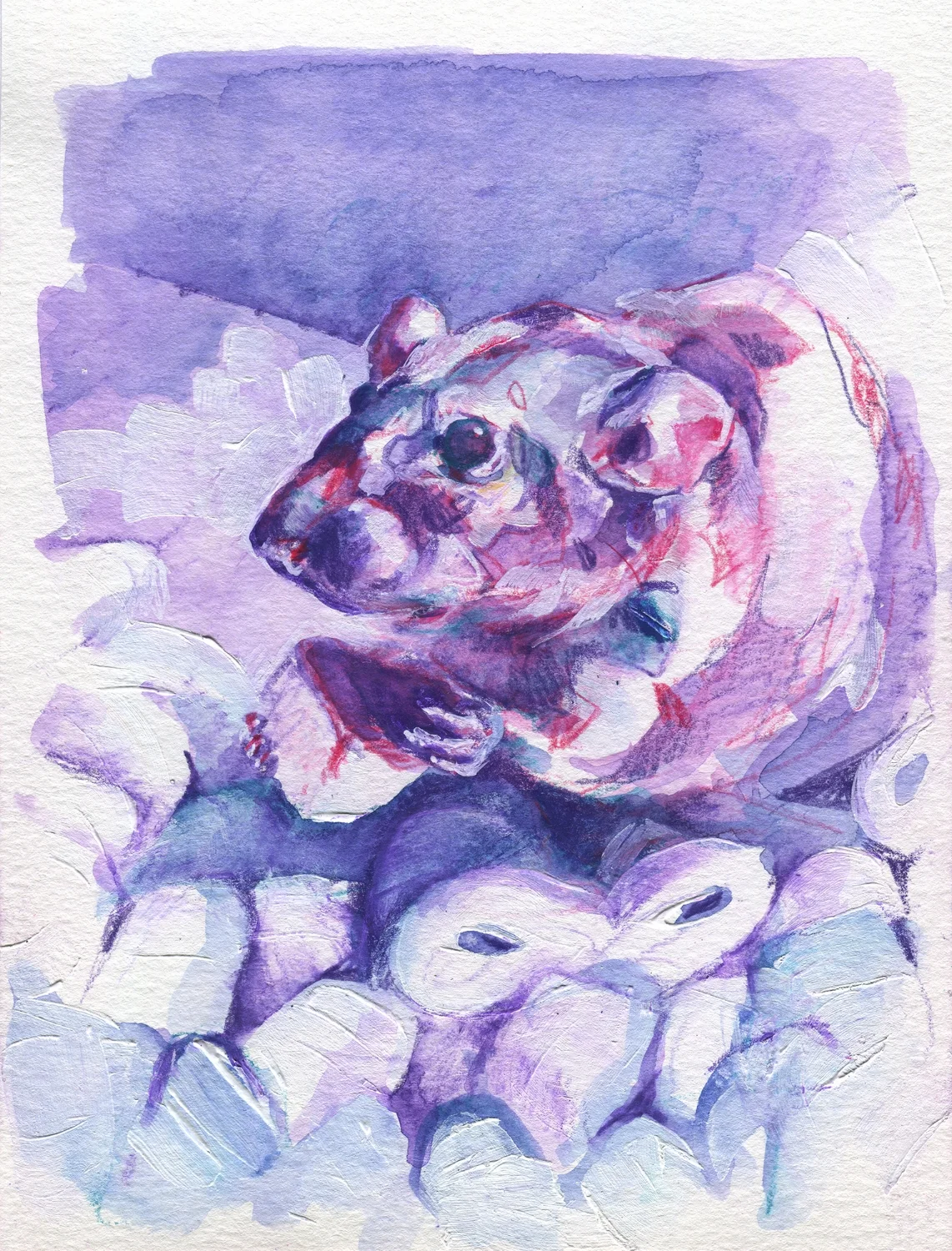 The100RatProject 002/100